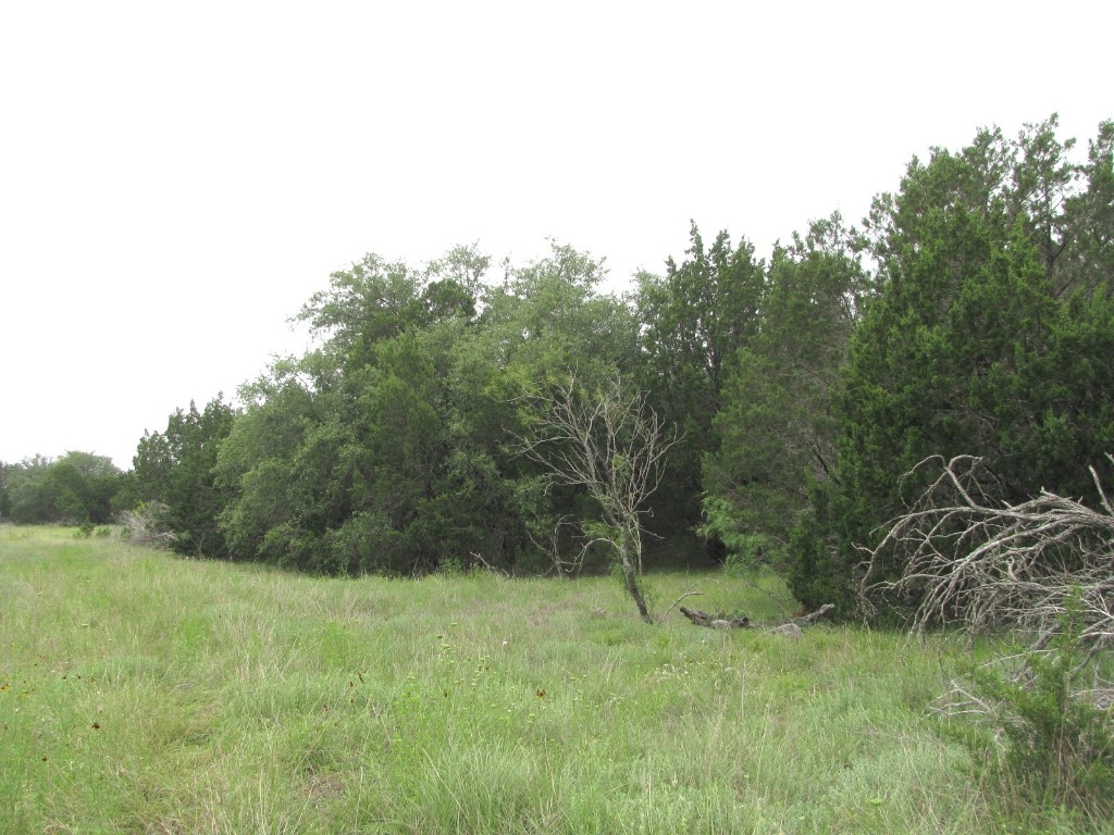 Tbd-lot 41 Pr 42107 Evant TX 76525