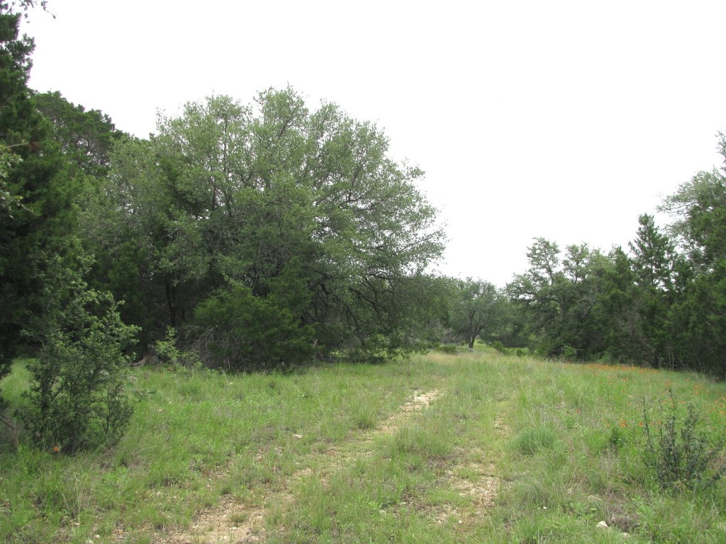 Tbd-lot 41 Pr 42107 Evant TX 76525