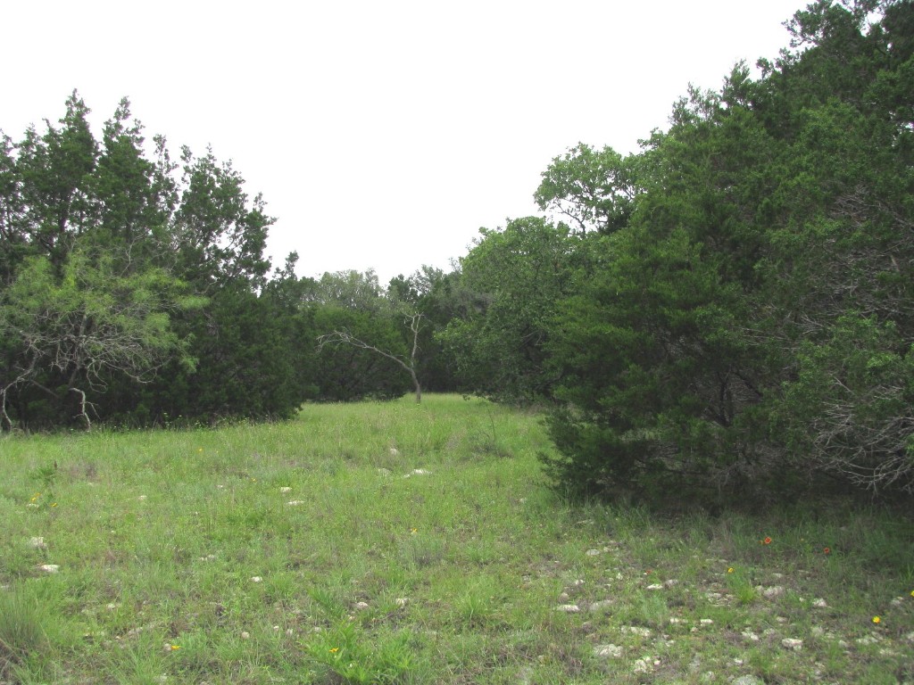 Tbd-lot 41 Pr 42107 Evant TX 76525