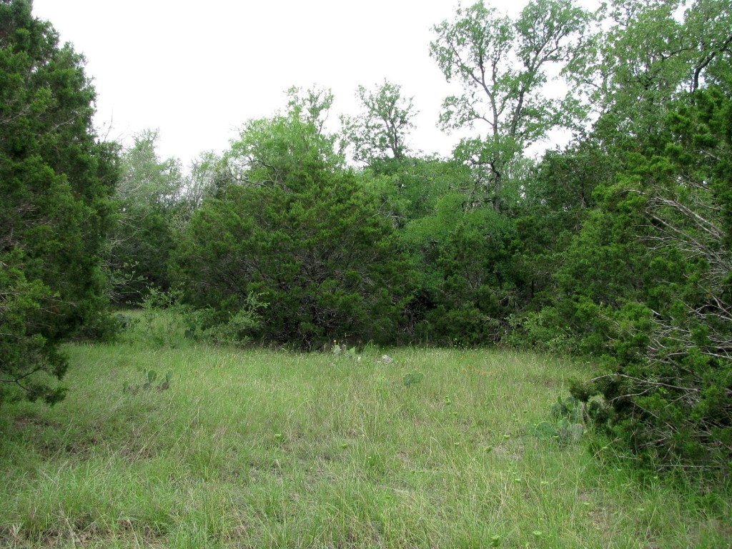 Tbd-lot 41 Pr 42107 Evant TX 76525