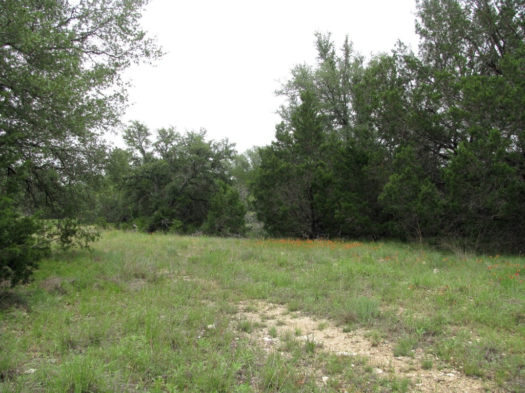 Tbd-lot 41 Pr 42107 Evant TX 76525