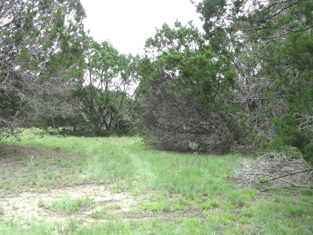 Tbd-lot 41 Pr 42107 Evant TX 76525