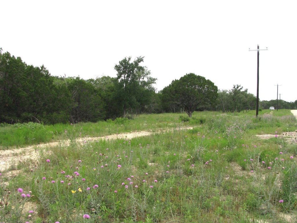 Tbd-lot 41 Pr 42107 Evant TX 76525