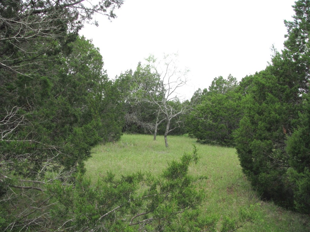Tbd-lot 41 Pr 42107 Evant TX 76525