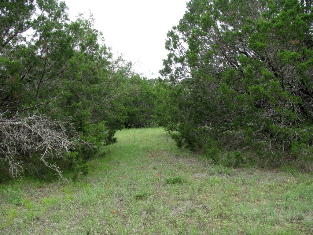 Tbd-lot 41 Pr 42107 Evant TX 76525