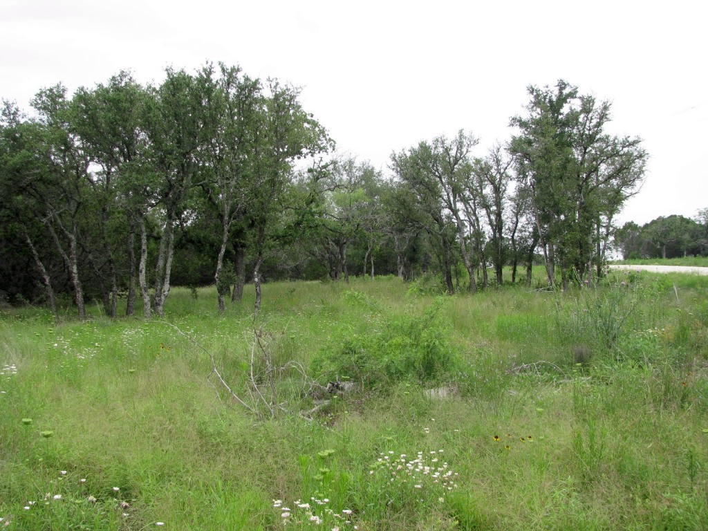 Tbd-lot 41 Pr 42107 Evant TX 76525