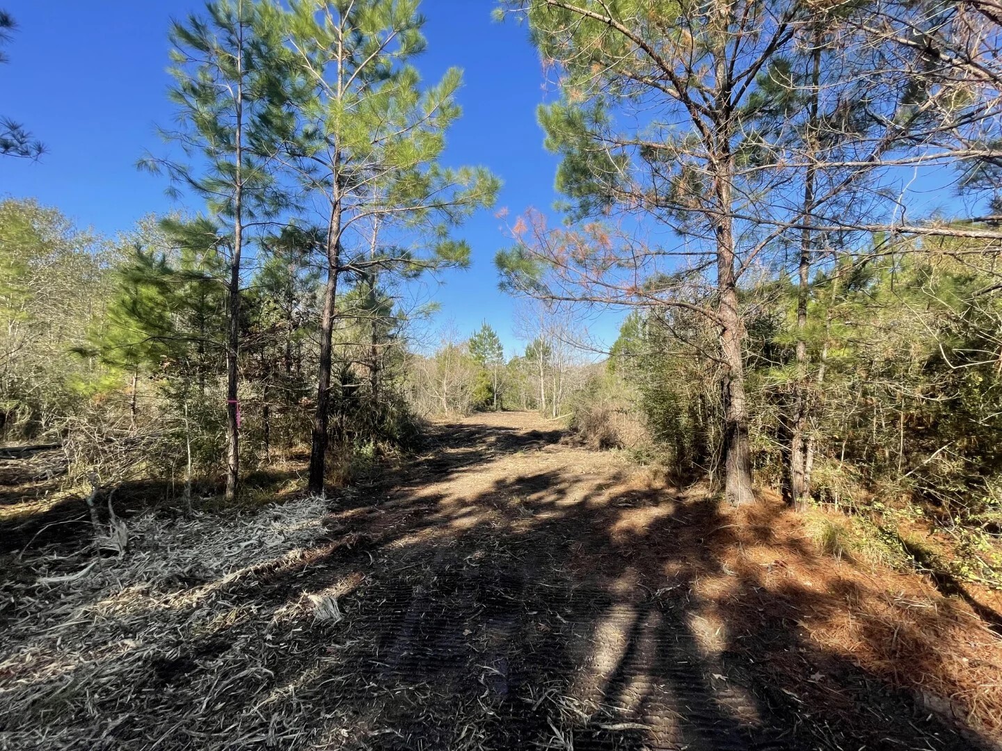 Lot 6 E Fm 942 Corrigan TX 75934