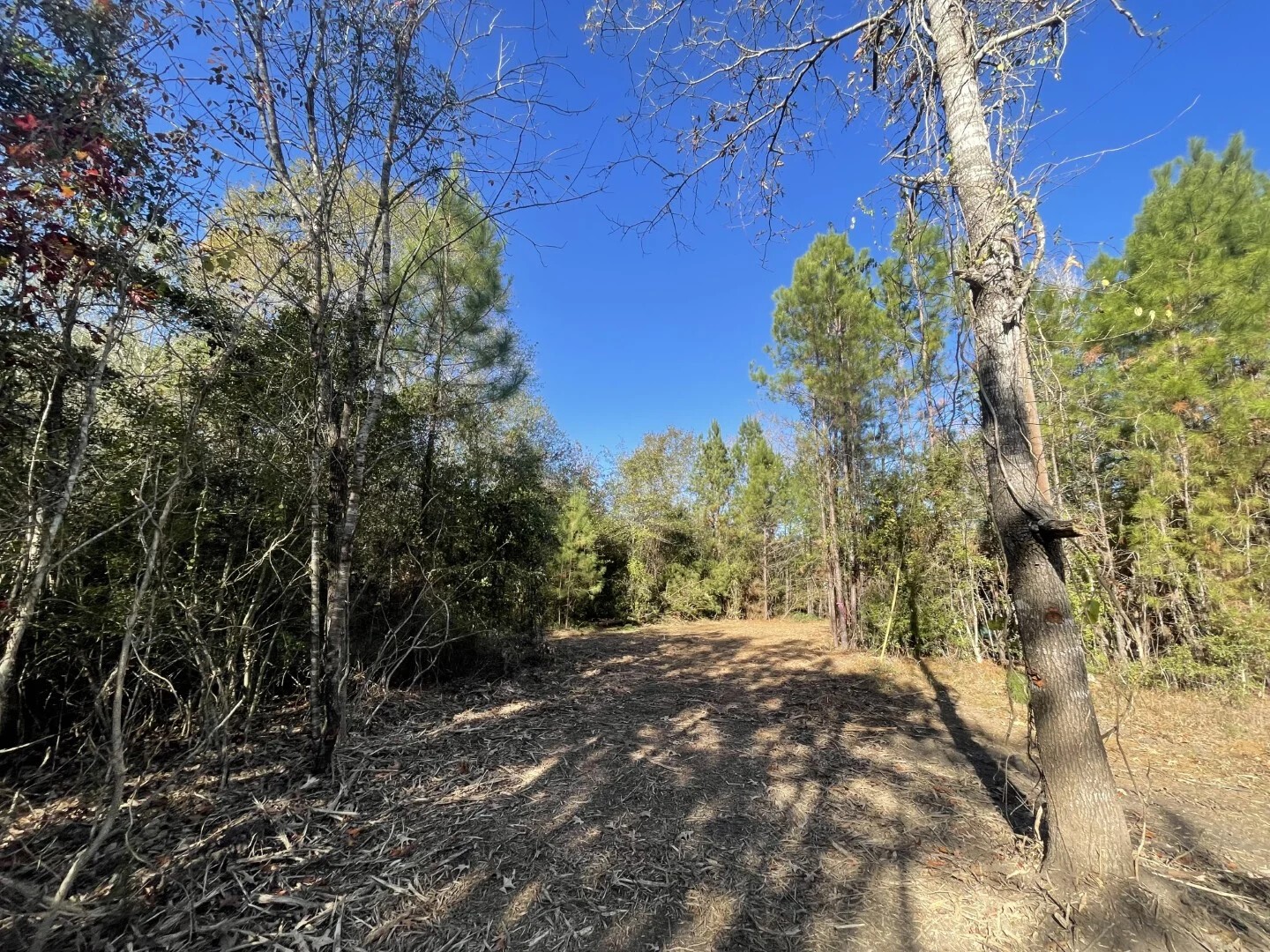 Lot 6 E Fm 942 Corrigan TX 75934