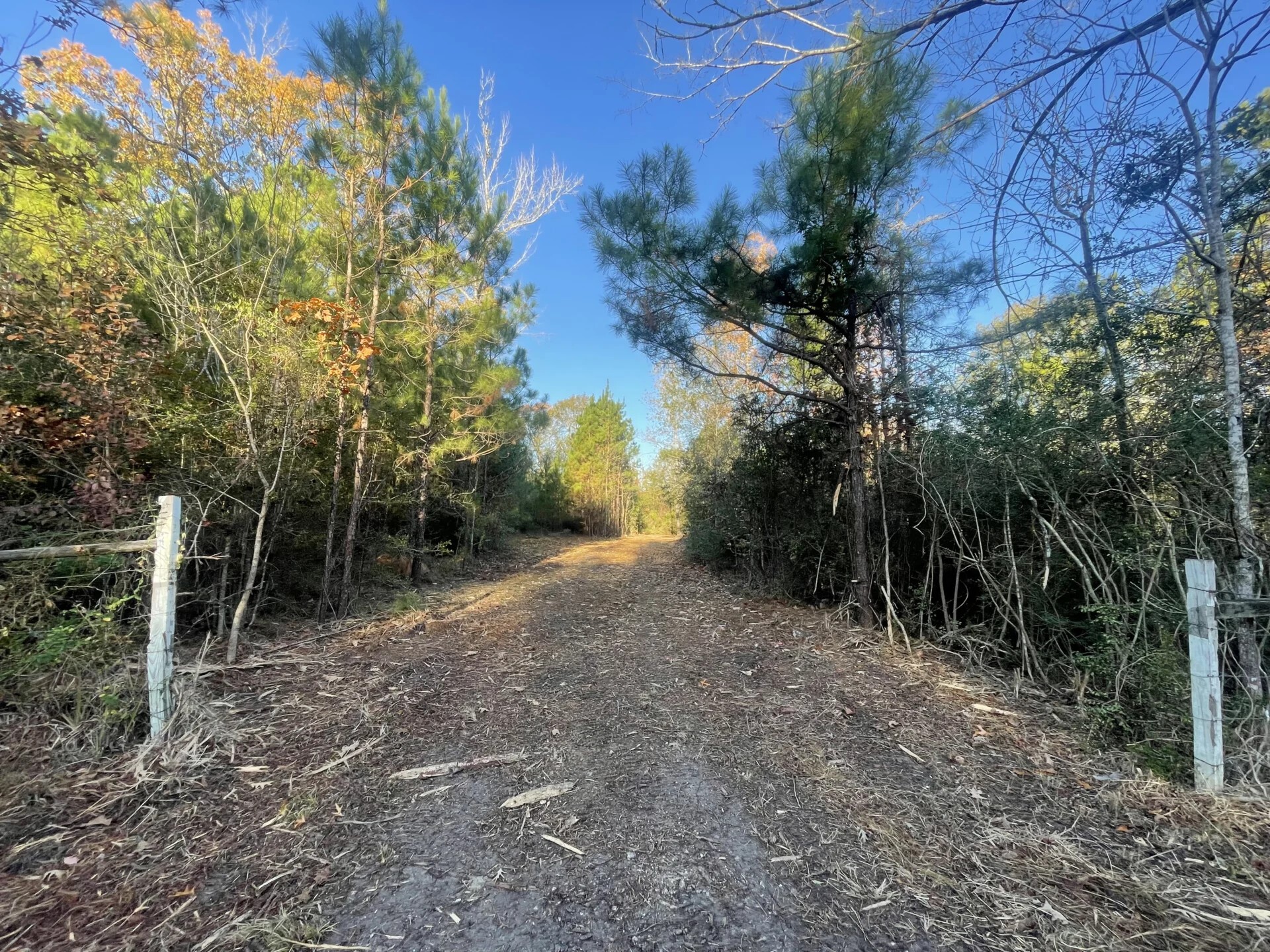 Lot 6 E Fm 942 Corrigan TX 75934