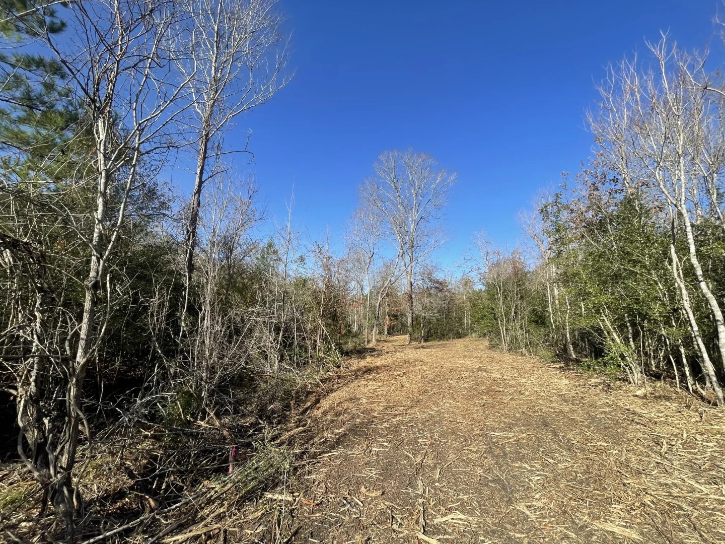 Lot 6 E Fm 942 Corrigan TX 75934