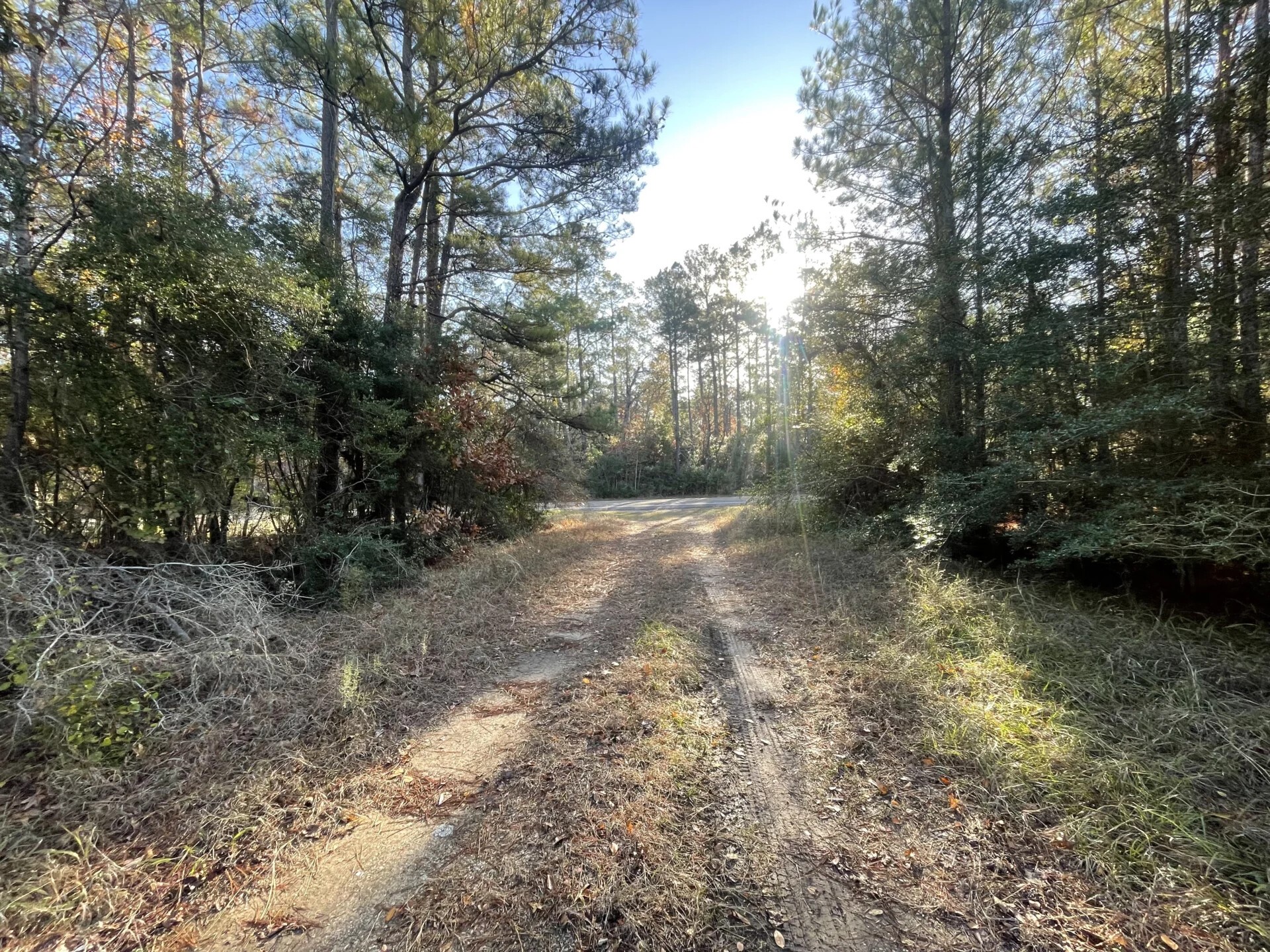 Lot 6 E Fm 942 Corrigan TX 75934