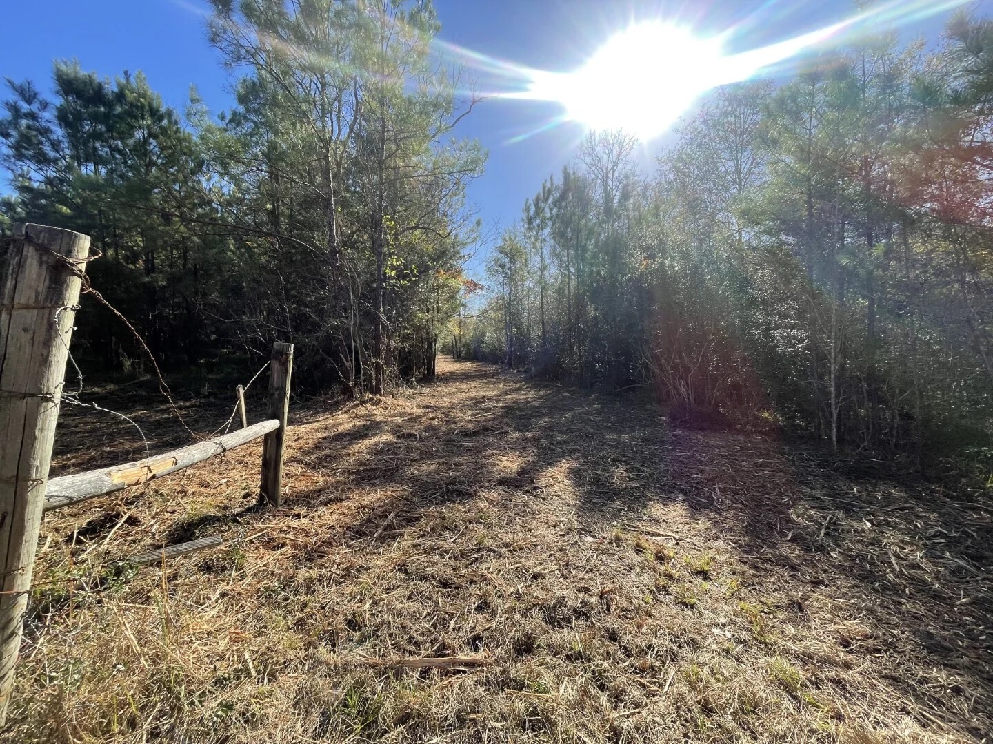 Lot 6 E Fm 942 Corrigan TX 75934