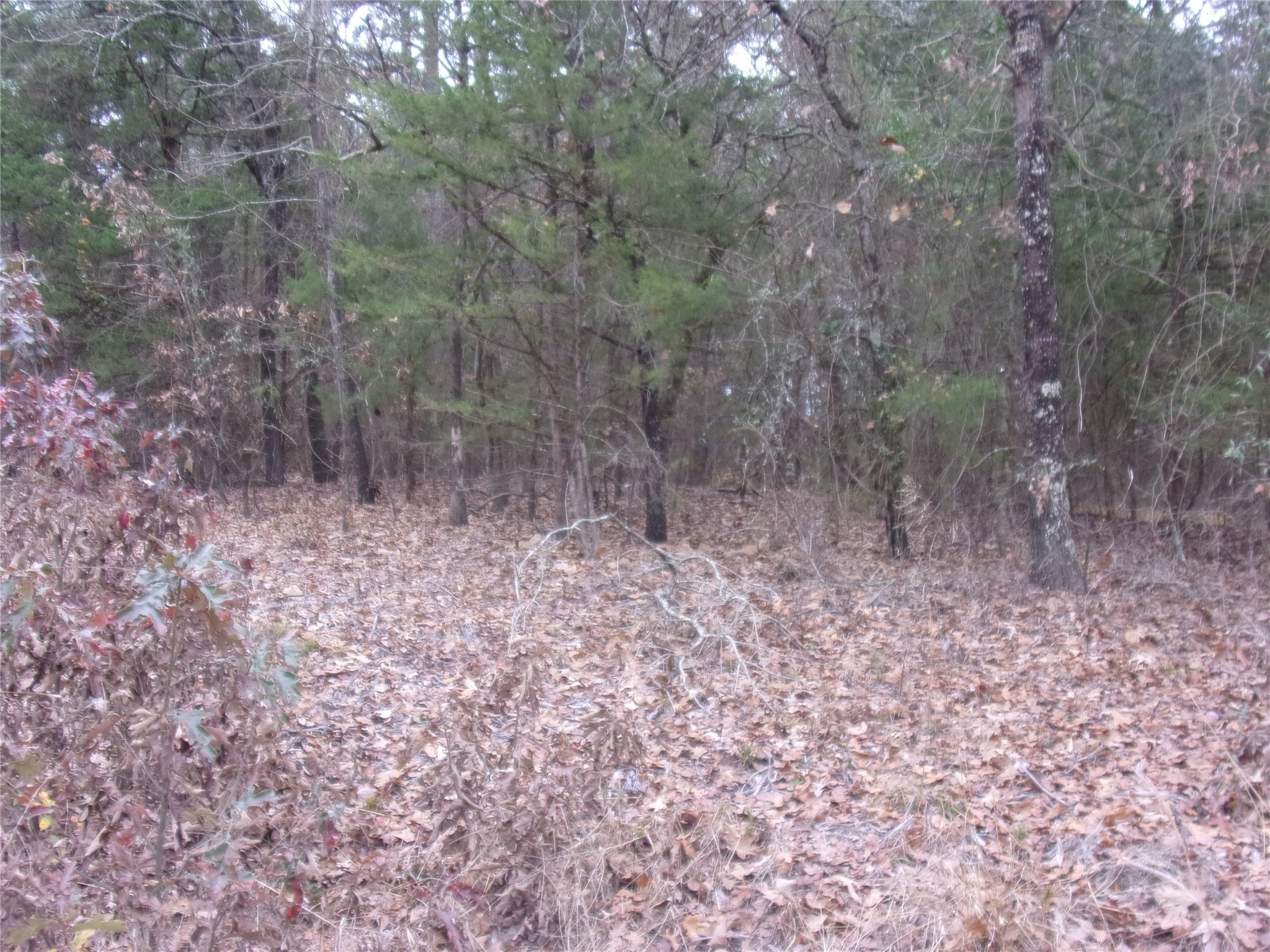 000 Briar Valley Murchison TX 75778