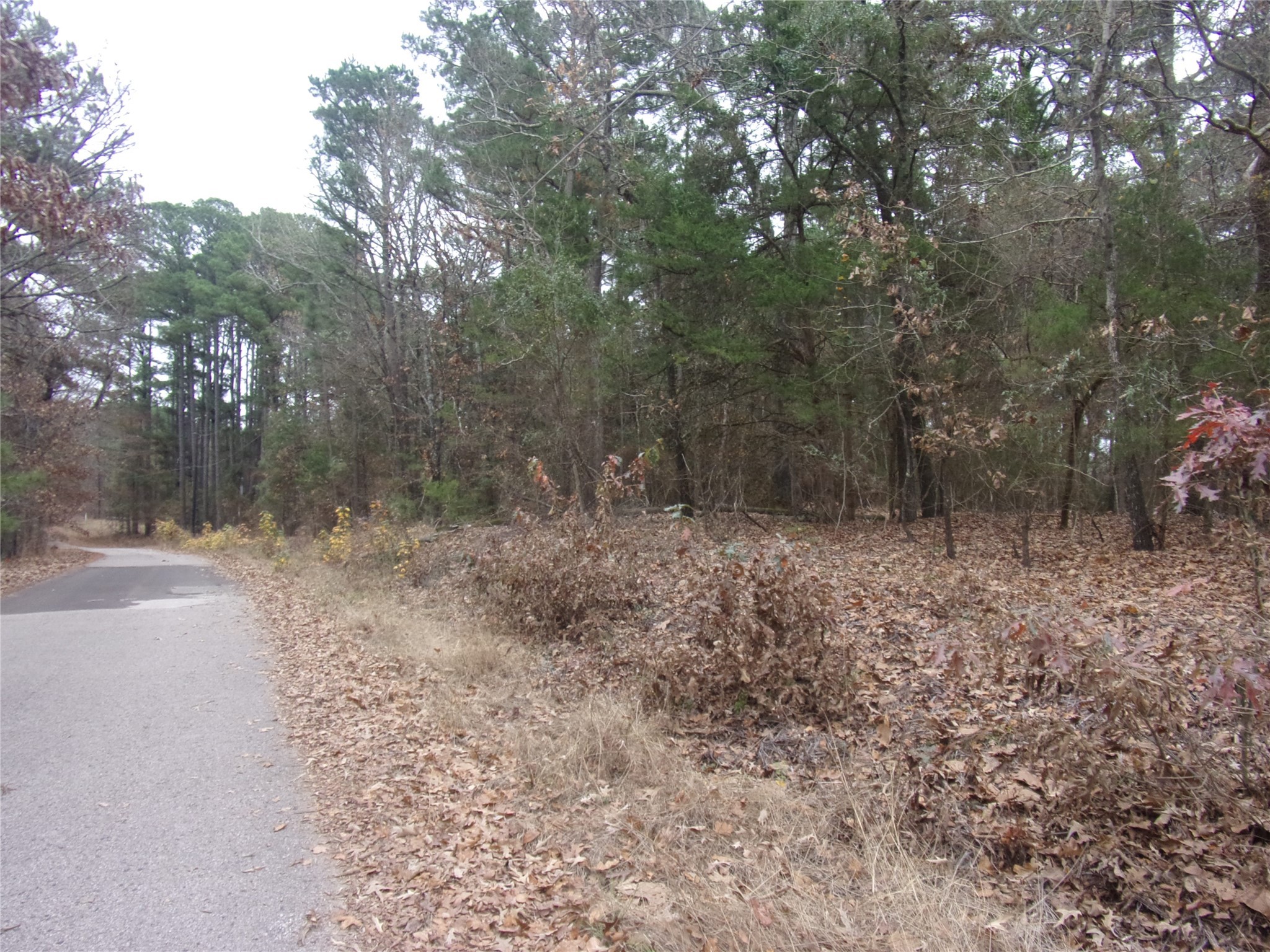 000 Briar Valley Murchison TX 75778