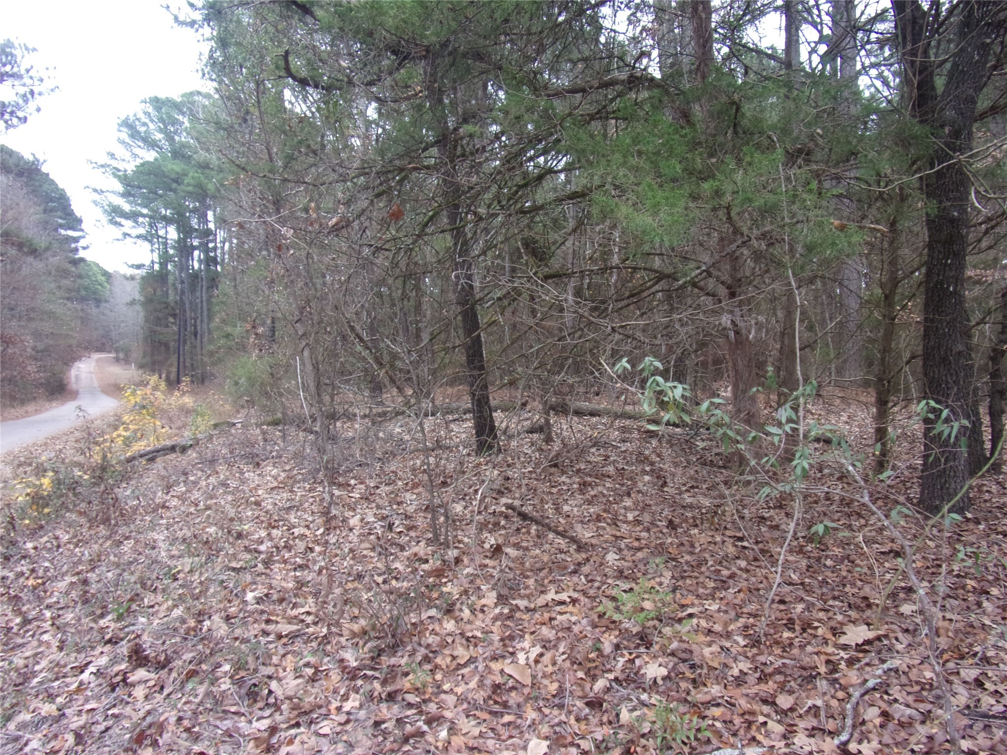 000 Briar Valley Murchison TX 75778