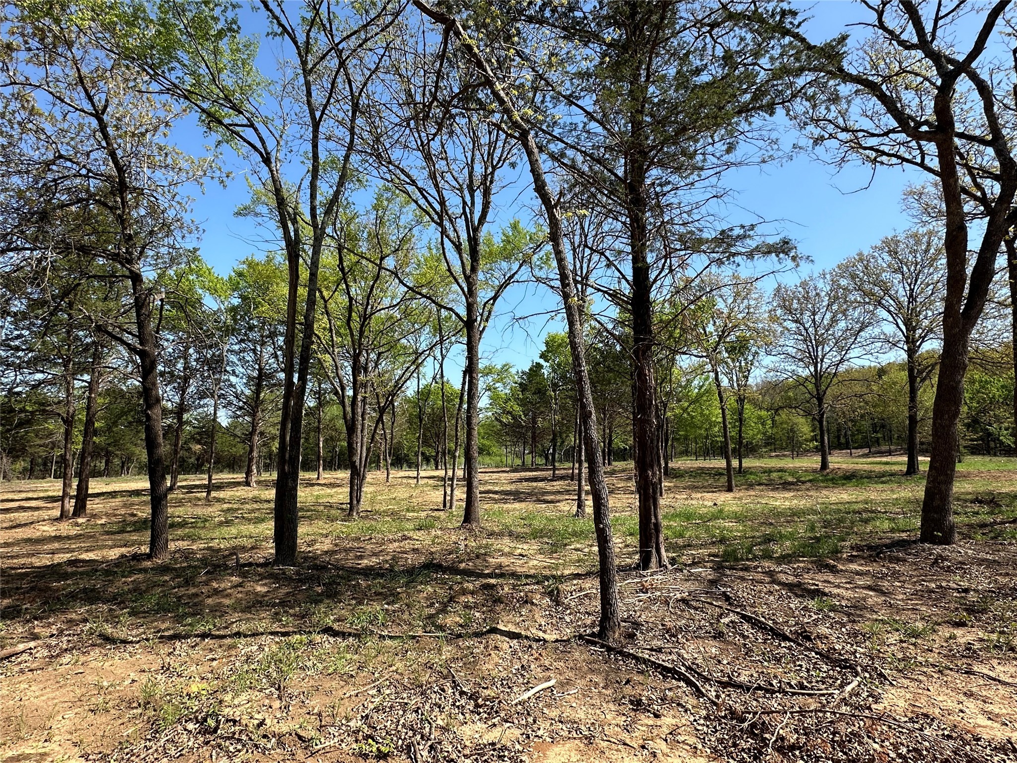 Tbd Lot 5 Cr-197 Gainesville TX 76240