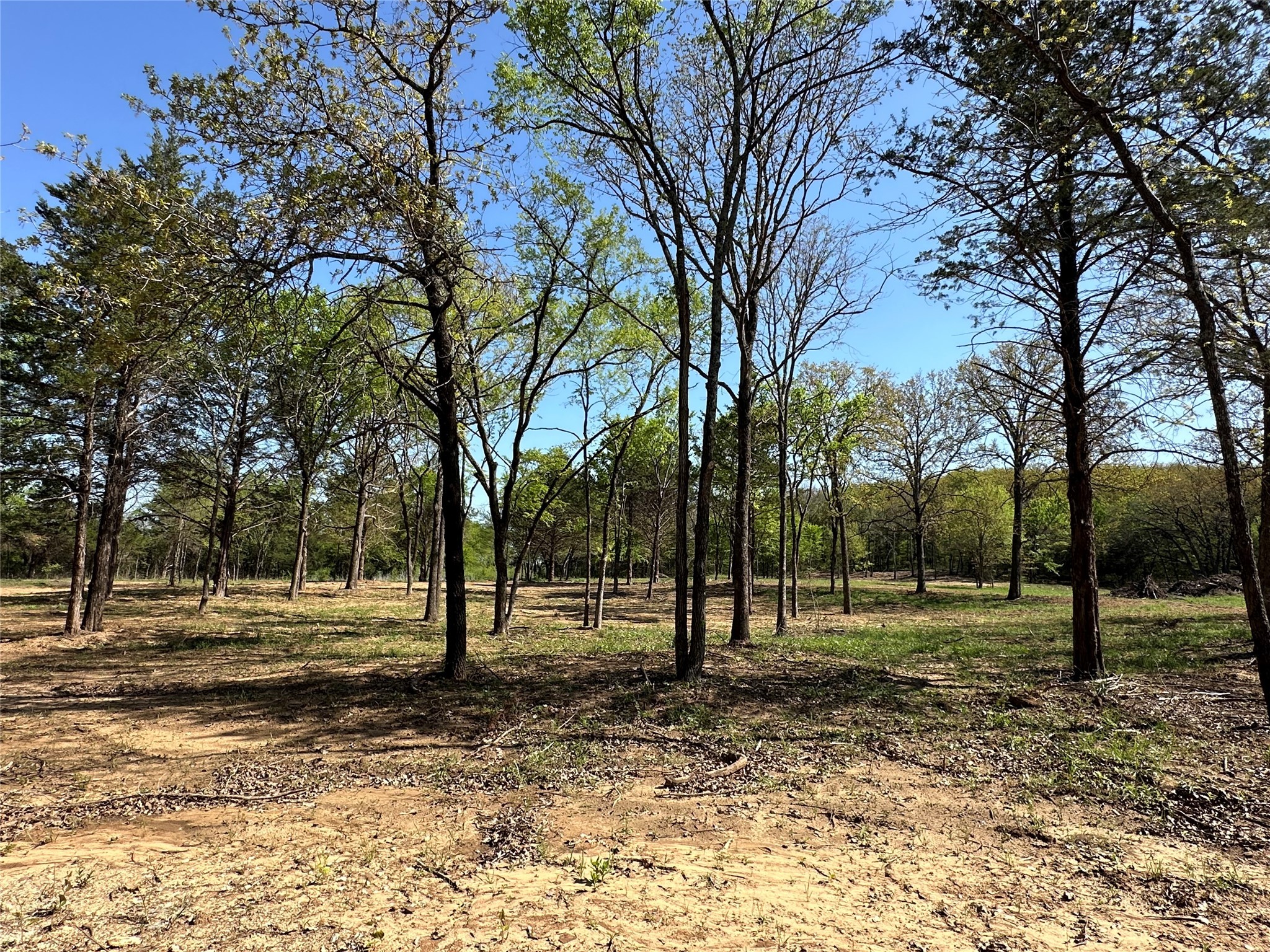 Tbd Lot 5 Cr-197 Gainesville TX 76240