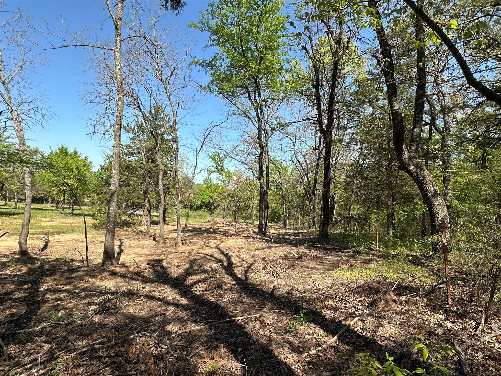 Tbd Lot 5 Cr-197 Gainesville TX 76240