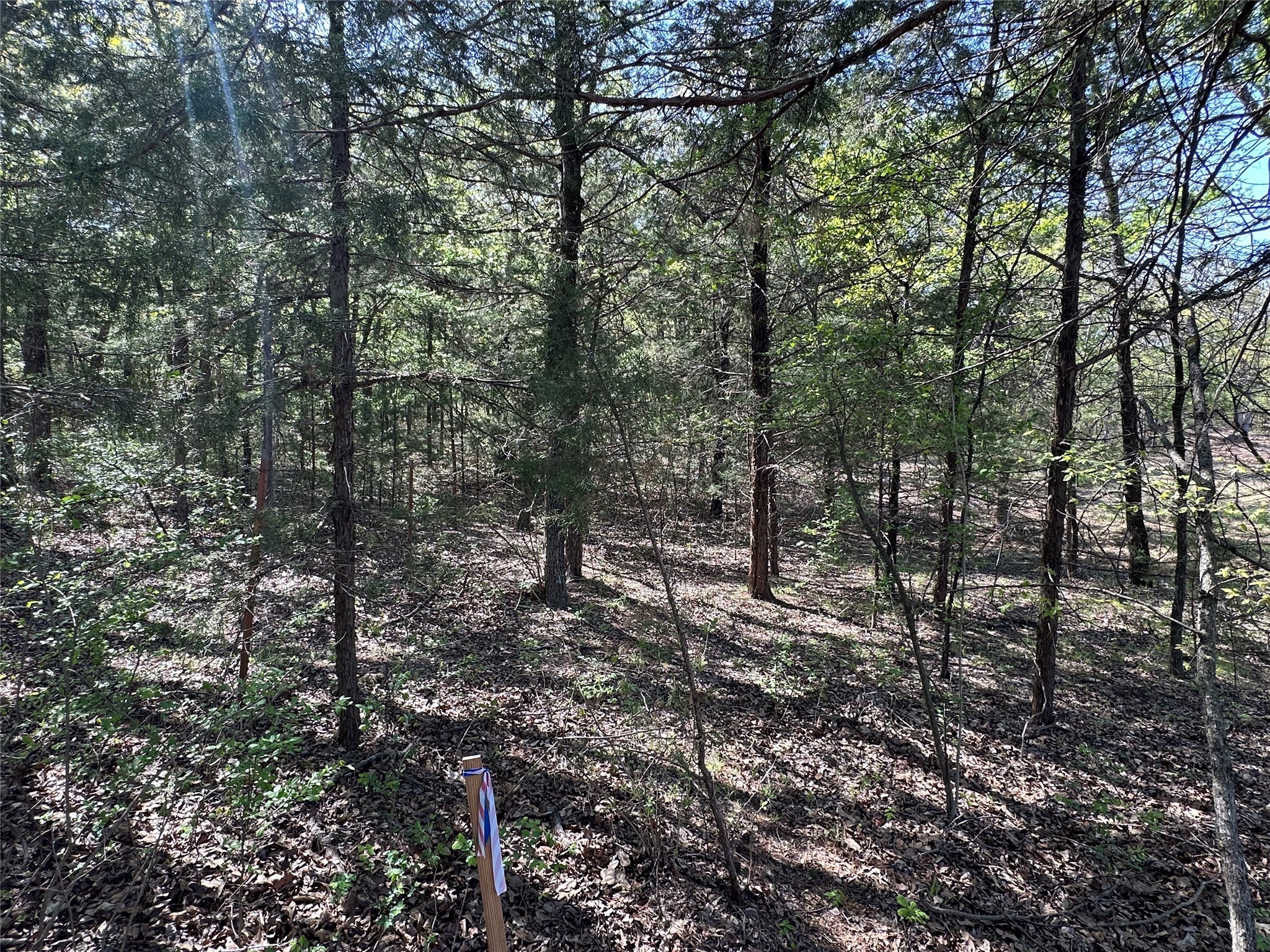 Tbd Lot 5 Cr-197 Gainesville TX 76240