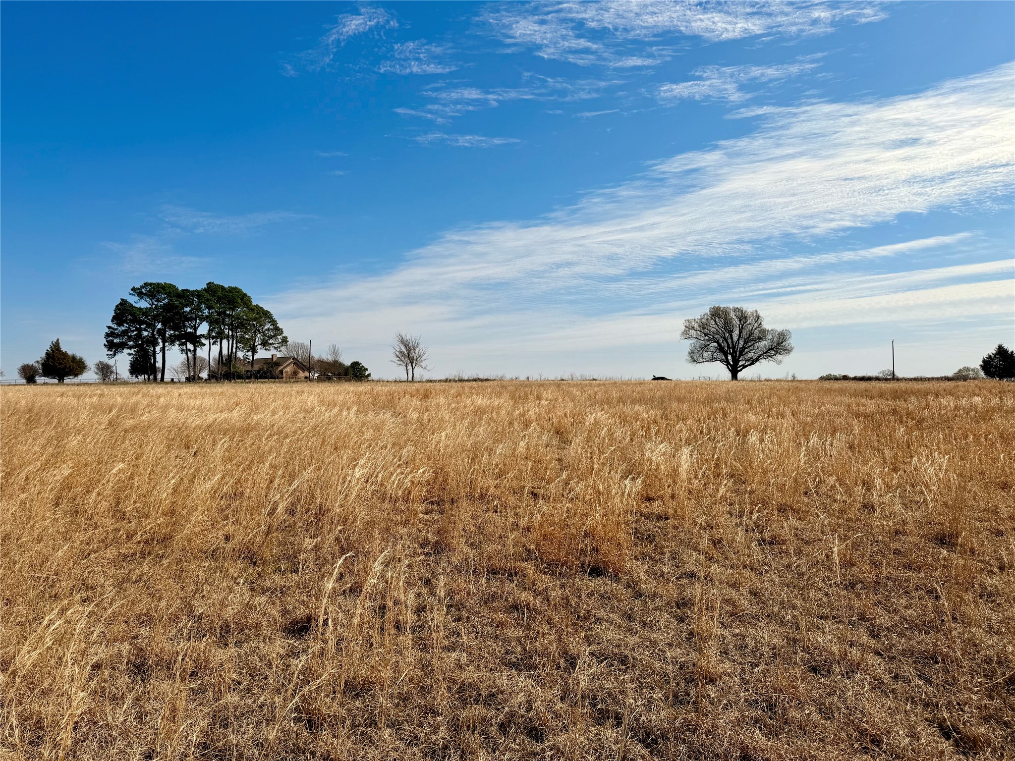 0 Goodell Lane Eustace TX 75124