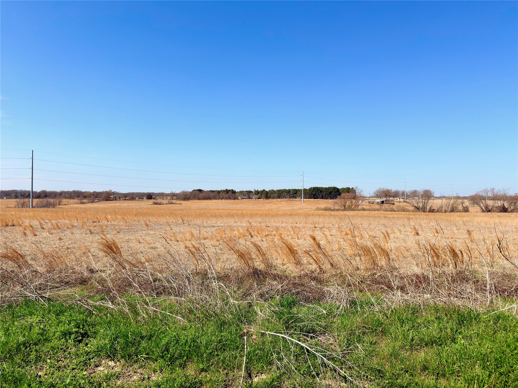 0 Goodell Lane Eustace TX 75124