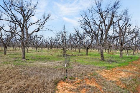 1424 Cirrus Loop Granbury TX 76049