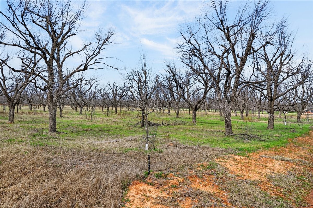 1424 Cirrus Loop Granbury TX 76049