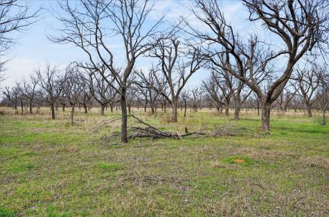 1424 Cirrus Loop Granbury TX 76049