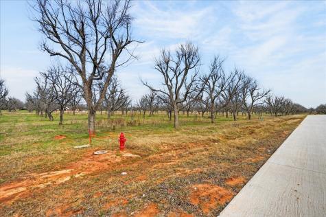 1424 Cirrus Loop Granbury TX 76049