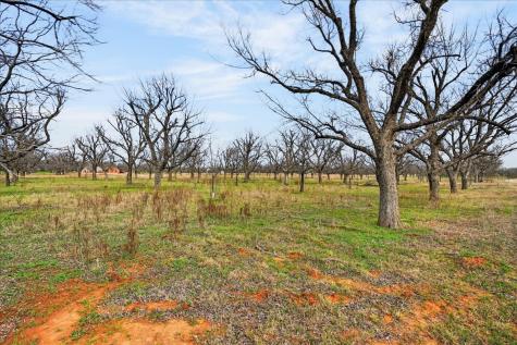 1424 Cirrus Loop Granbury TX 76049