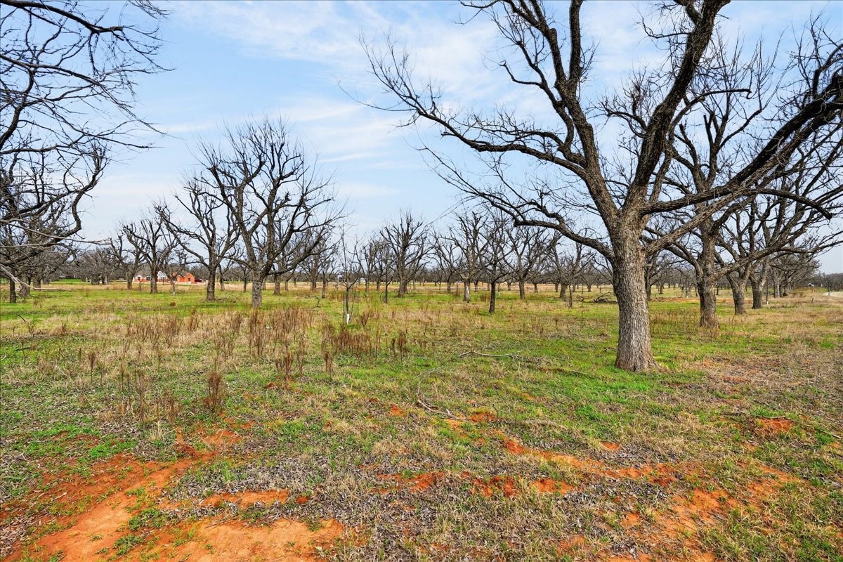 1424 Cirrus Loop Granbury TX 76049
