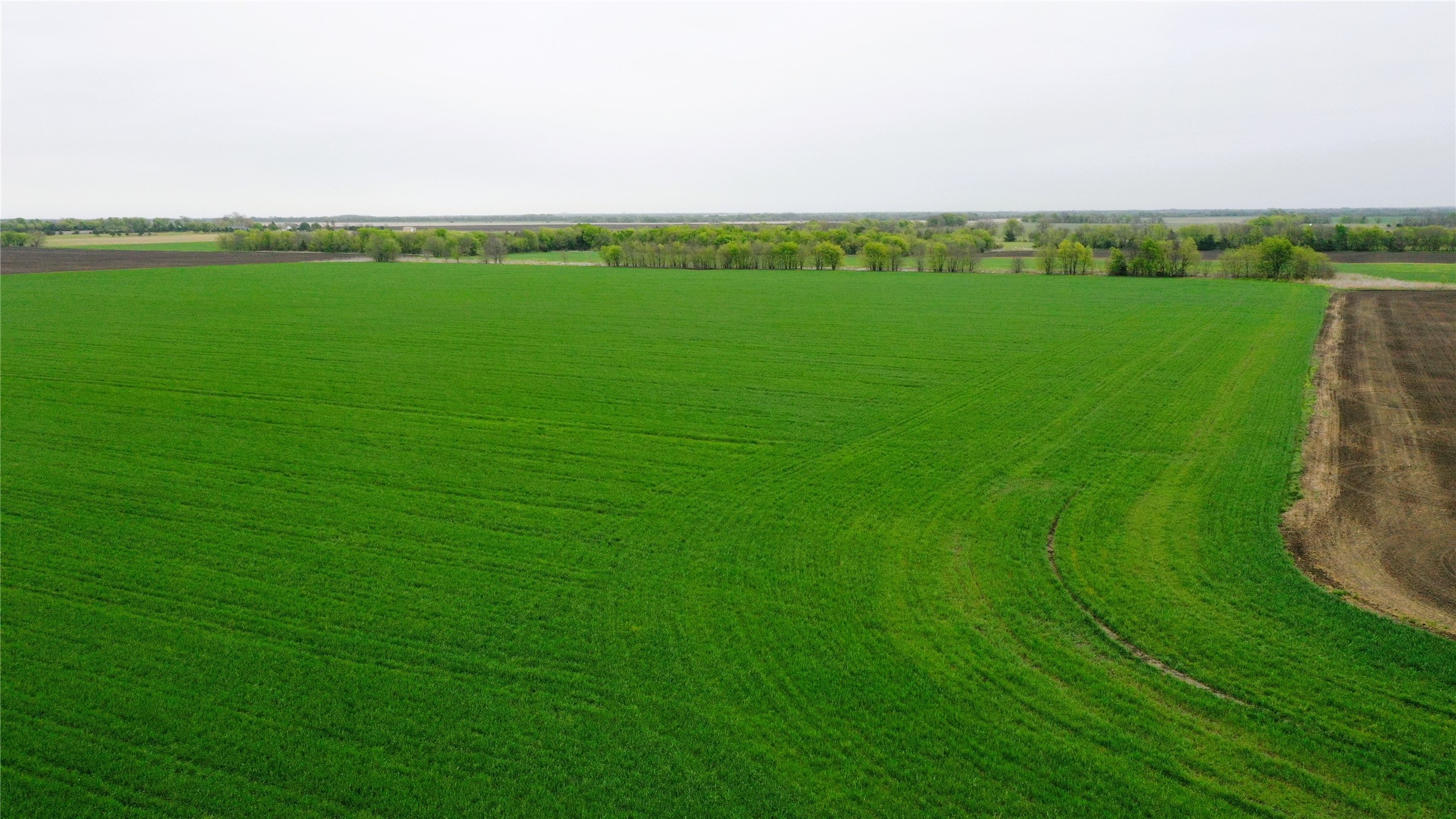 Tbd County Road 3060 Bonham TX 75418