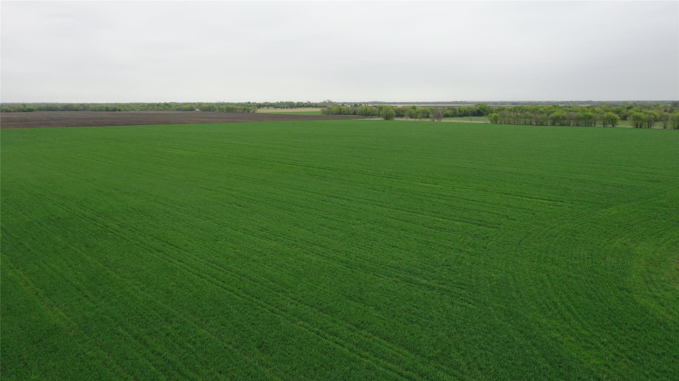 Tbd County Road 3060 Bonham TX 75418