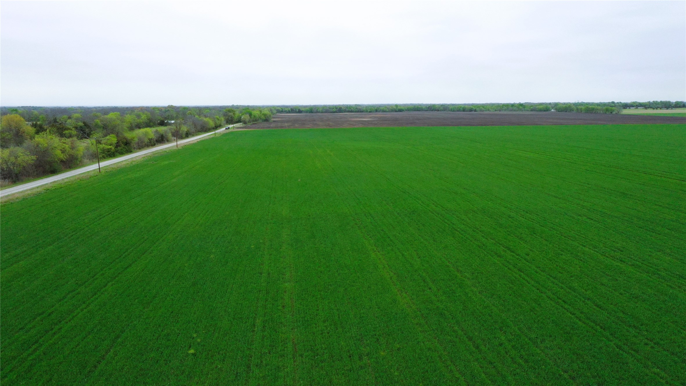 Tbd County Road 3060 Bonham TX 75418