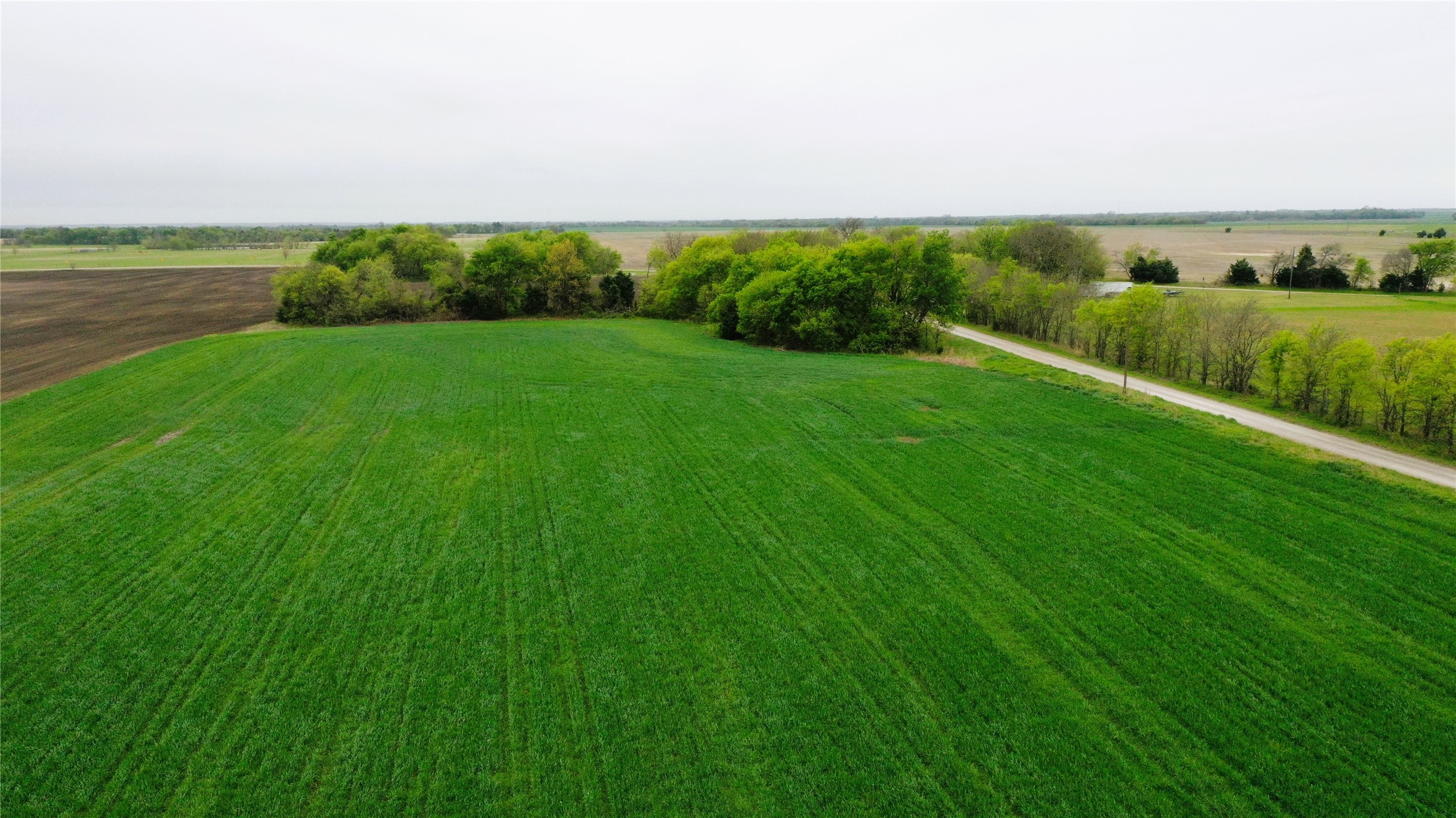Tbd County Road 3060 Bonham TX 75418
