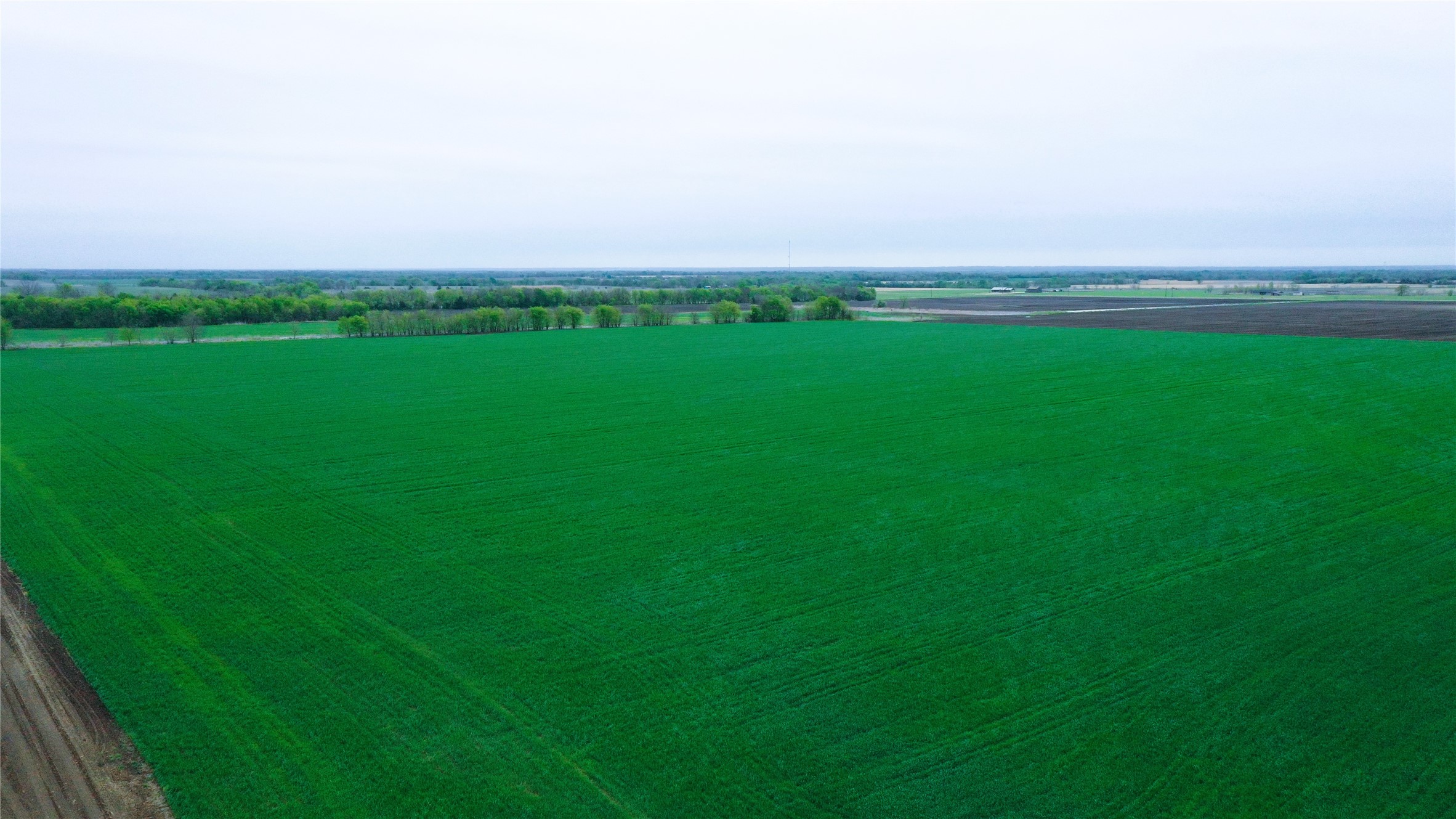 Tbd County Road 3060 Bonham TX 75418