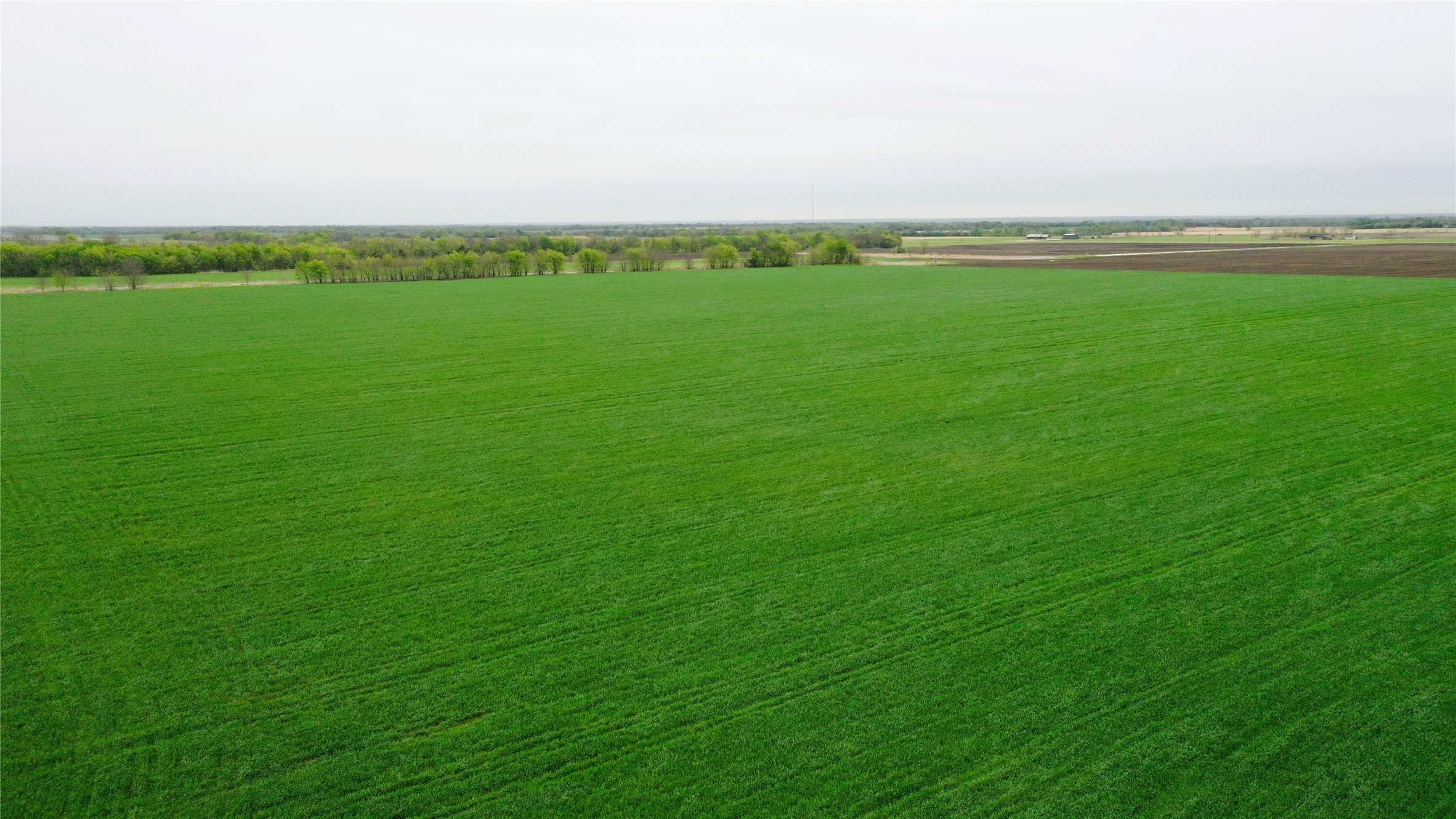 Tbd County Road 3060 Bonham TX 75418