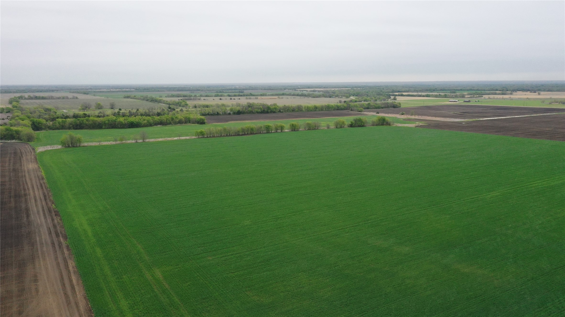 Tbd County Road 3060 Bonham TX 75418