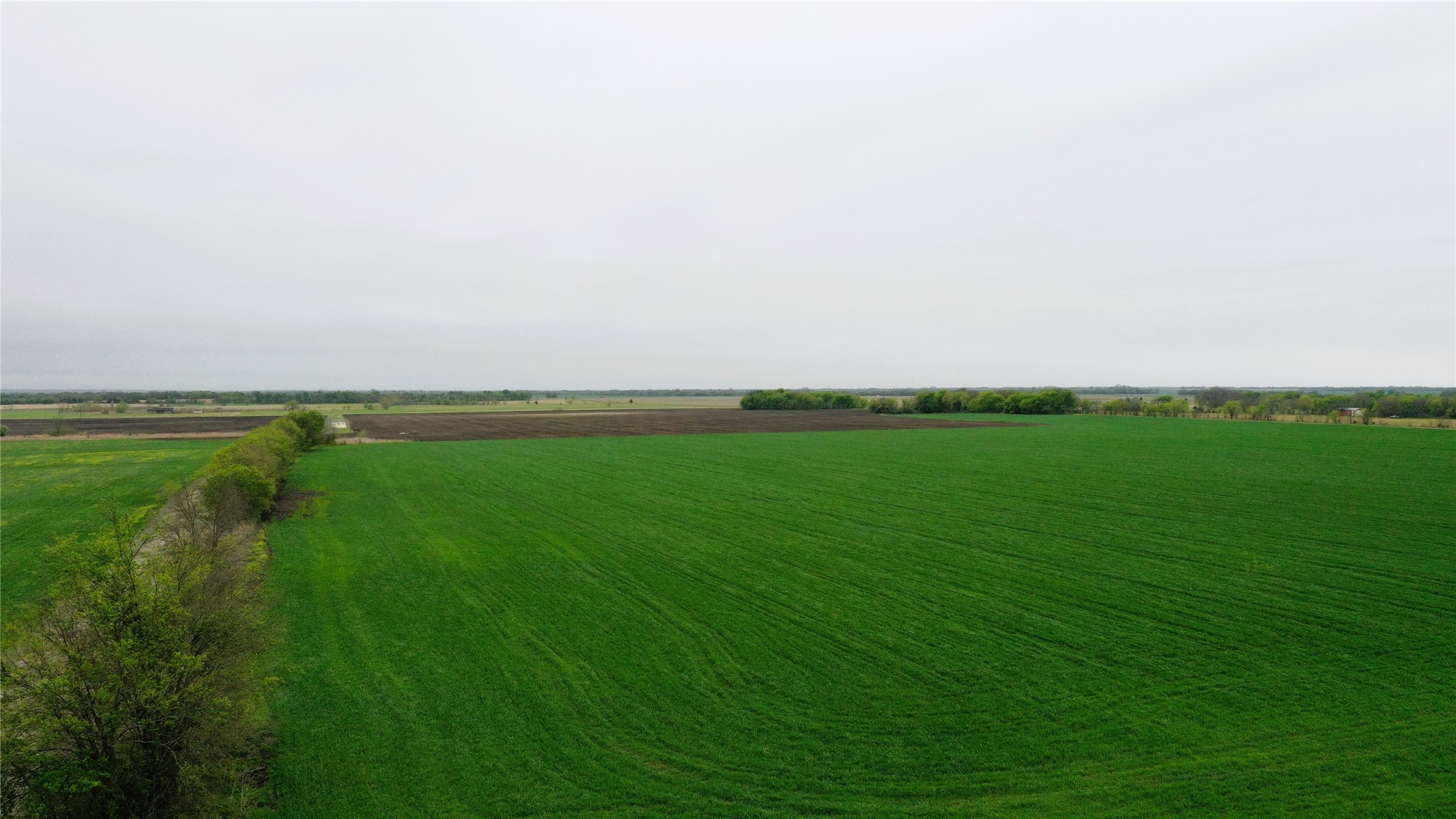 Tbd County Road 3060 Bonham TX 75418