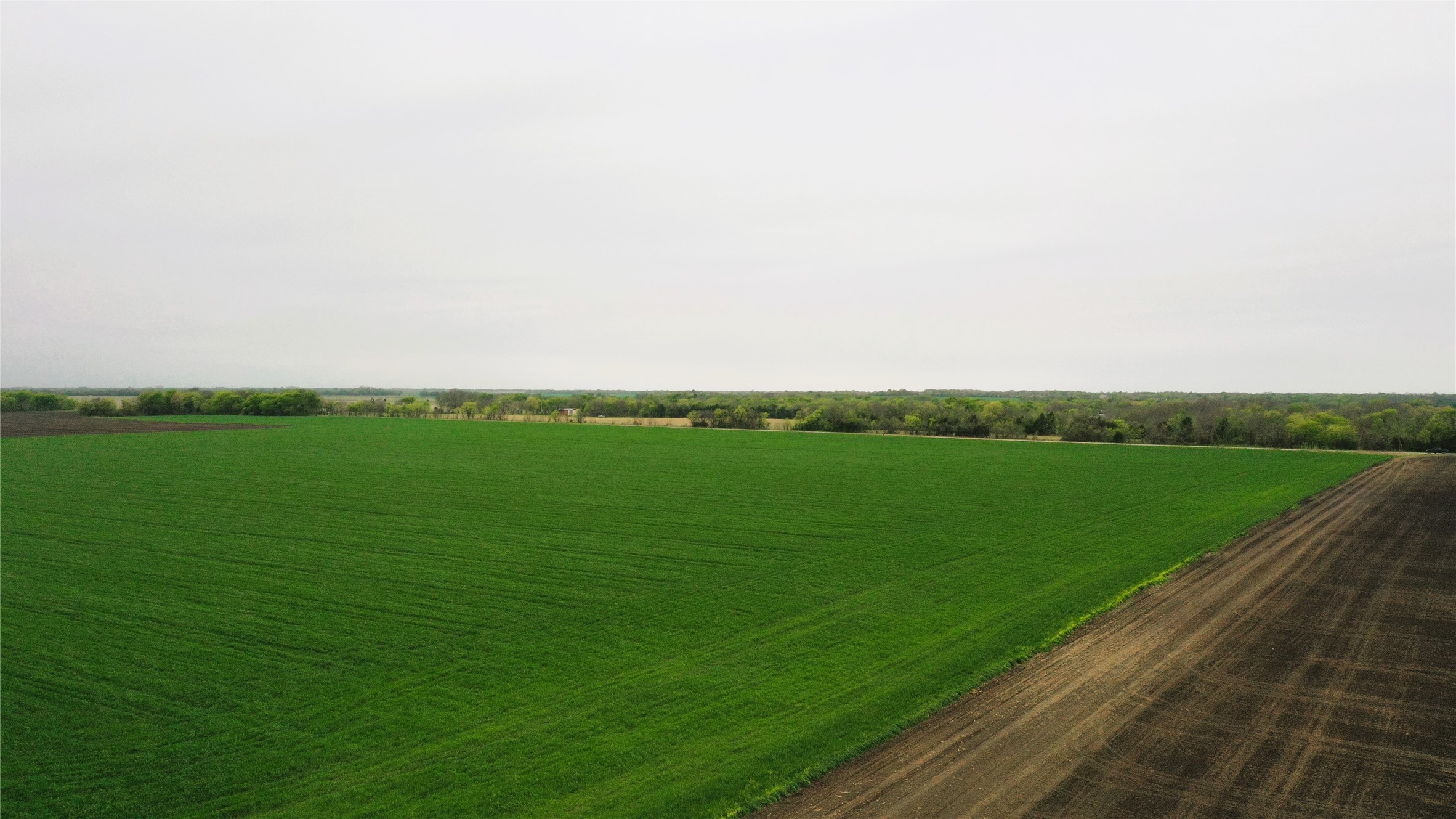 Tbd County Road 3060 Bonham TX 75418