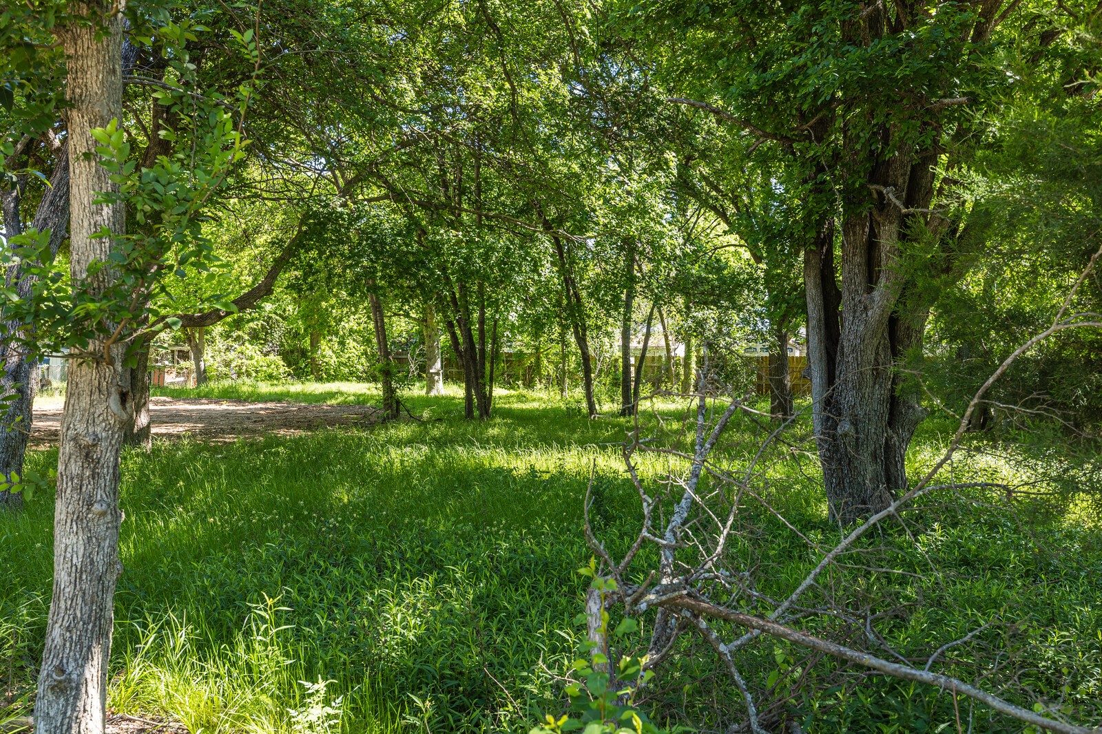 Tbd Alma Rohn Drive Waco TX 76705