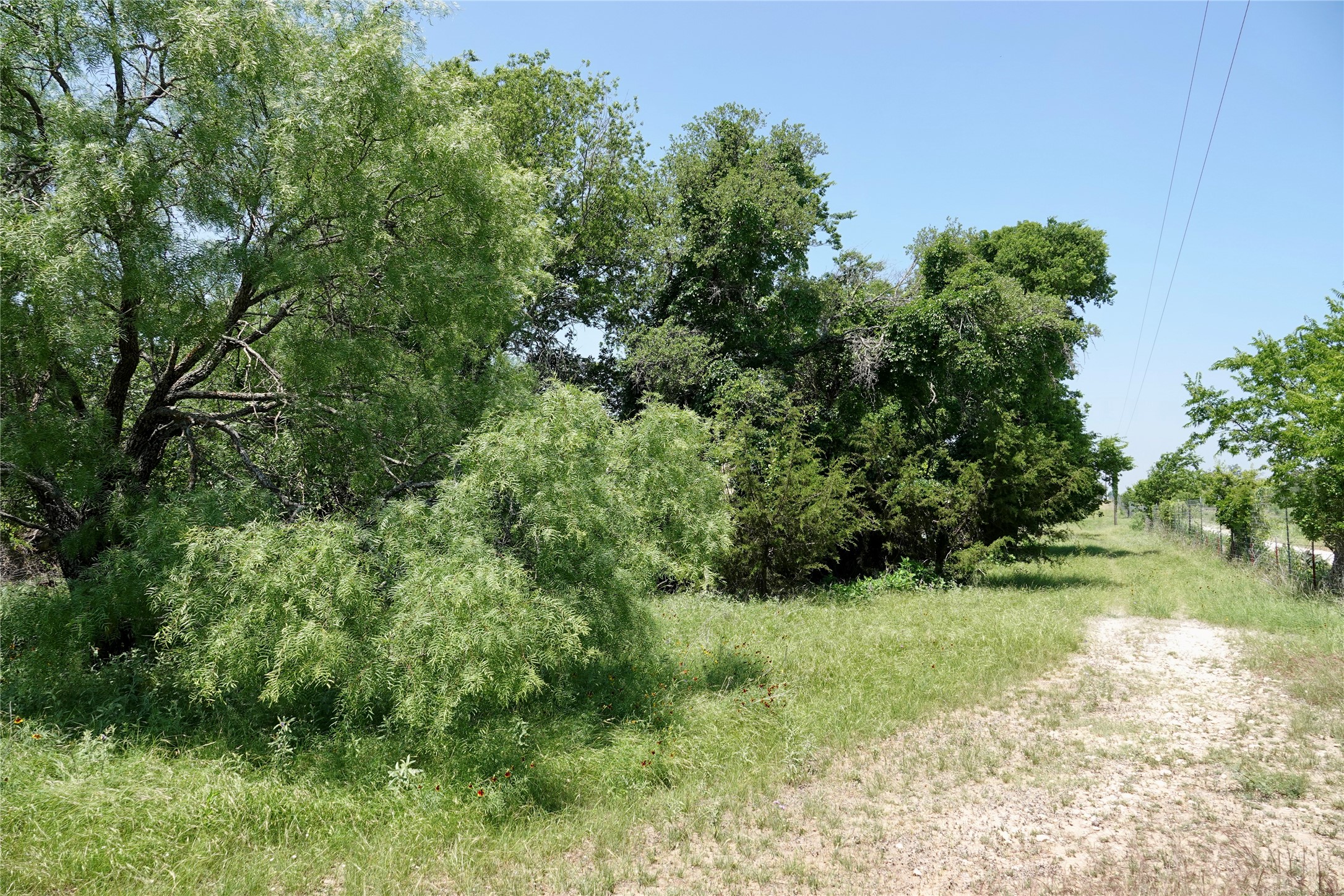 267 Cr 112 Goldthwaite TX 76844