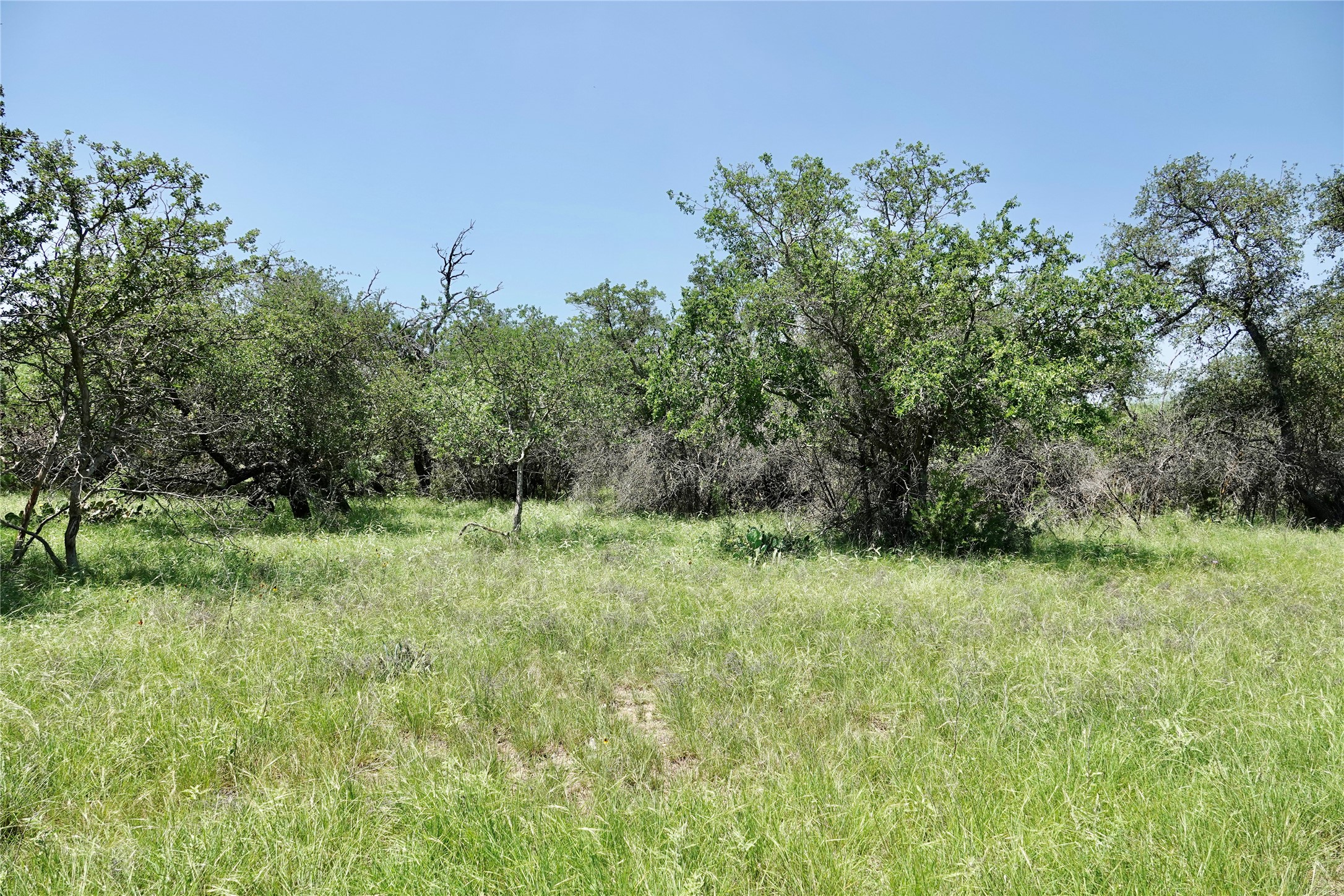 267 Cr 112 Goldthwaite TX 76844
