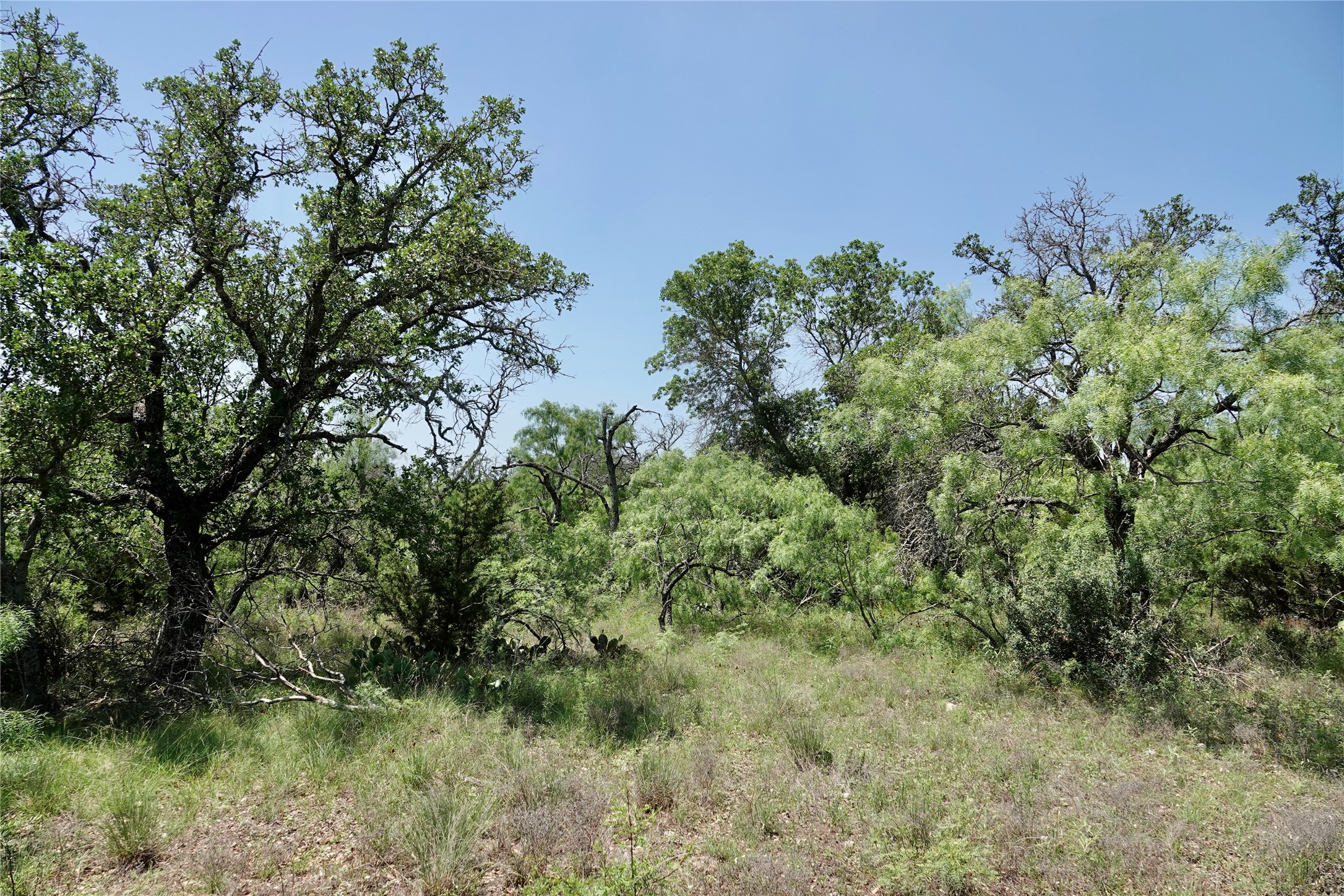 267 Cr 112 Goldthwaite TX 76844