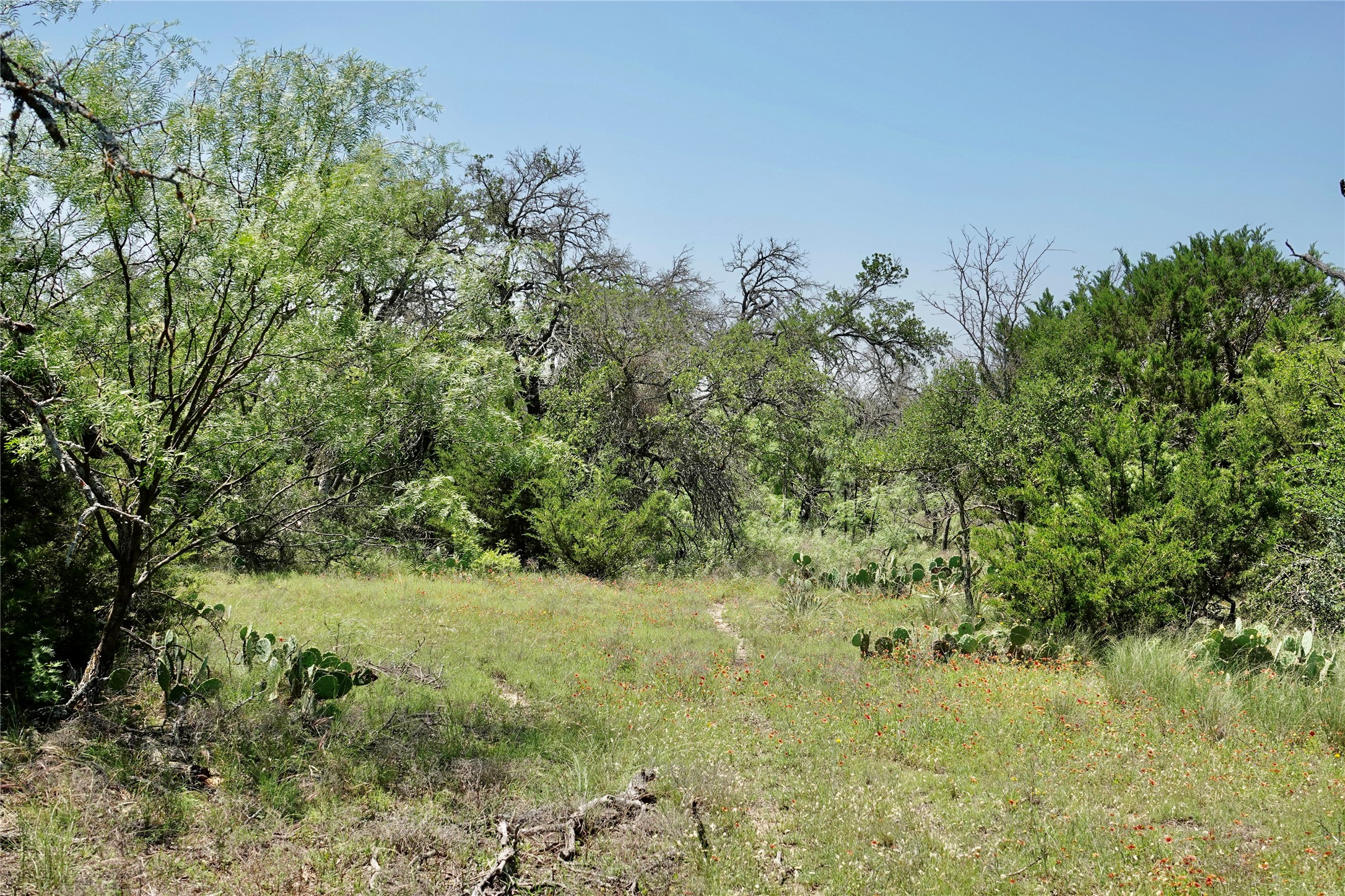 267 Cr 112 Goldthwaite TX 76844