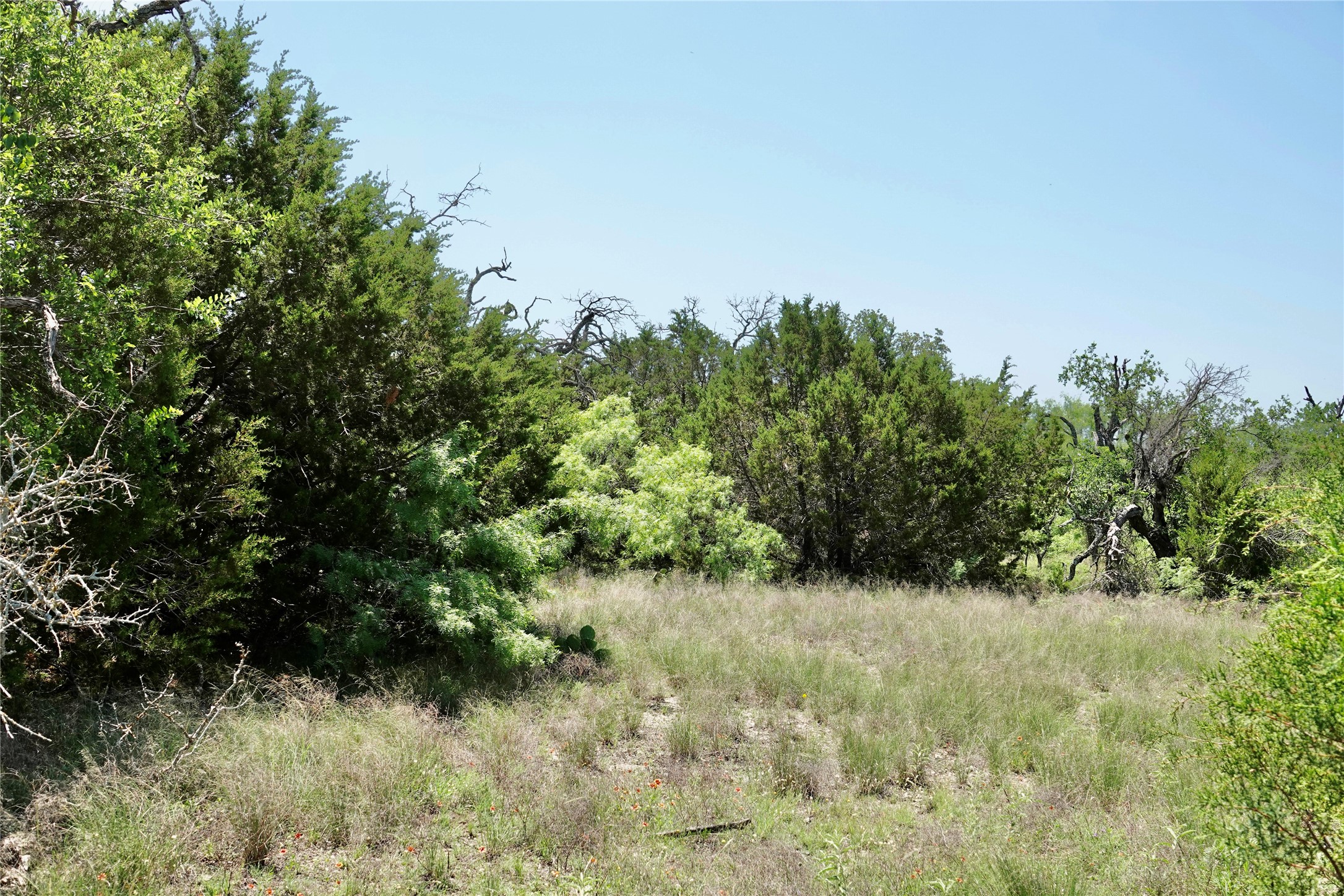 267 Cr 112 Goldthwaite TX 76844