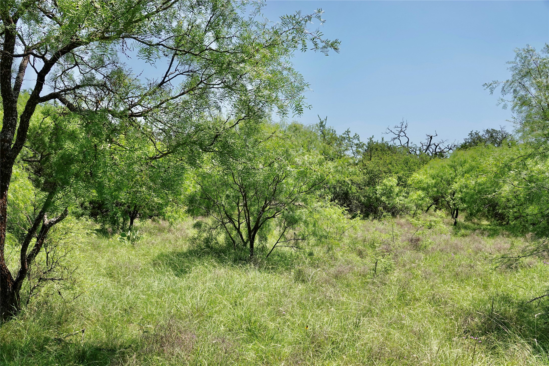 267 Cr 112 Goldthwaite TX 76844