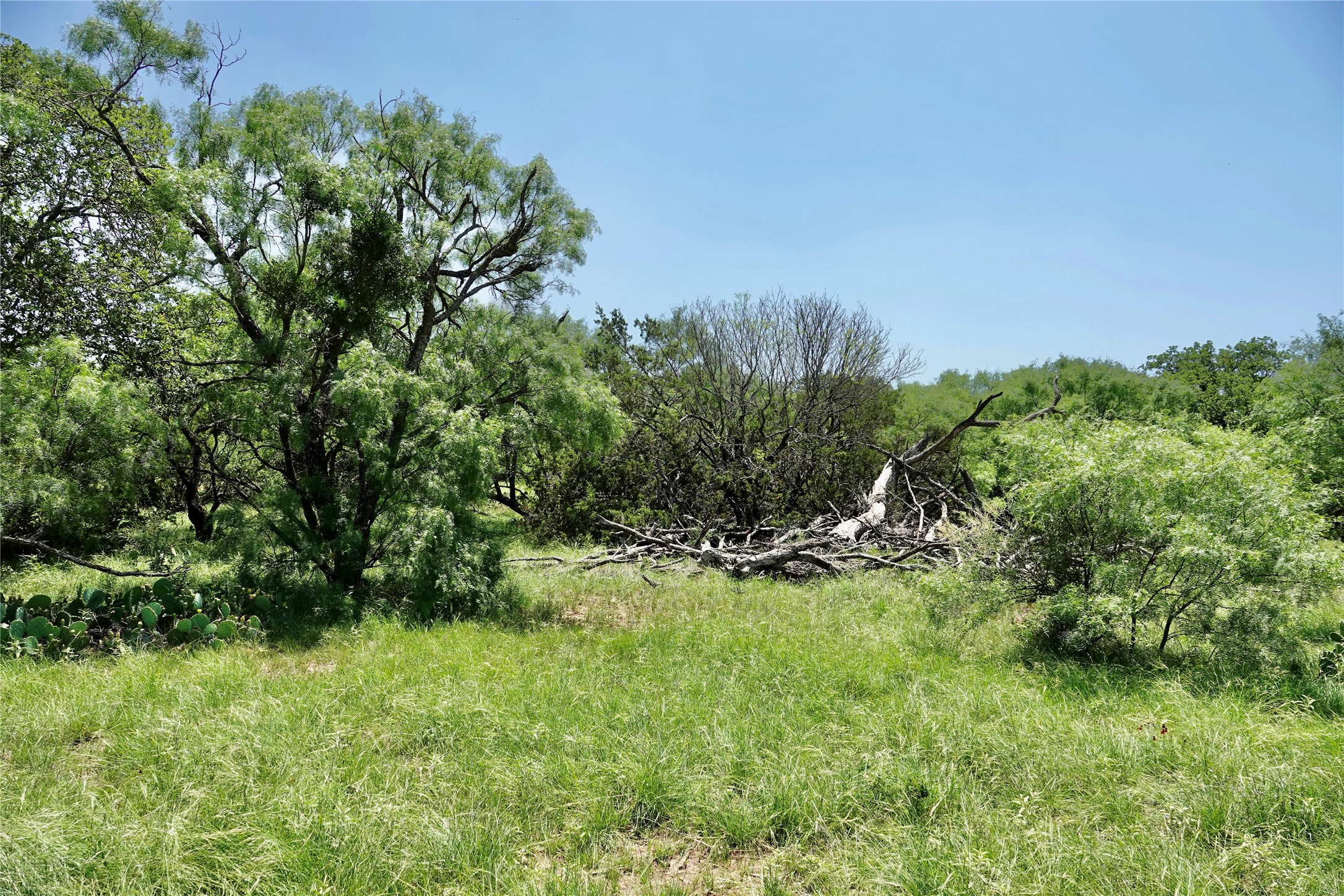 267 Cr 112 Goldthwaite TX 76844