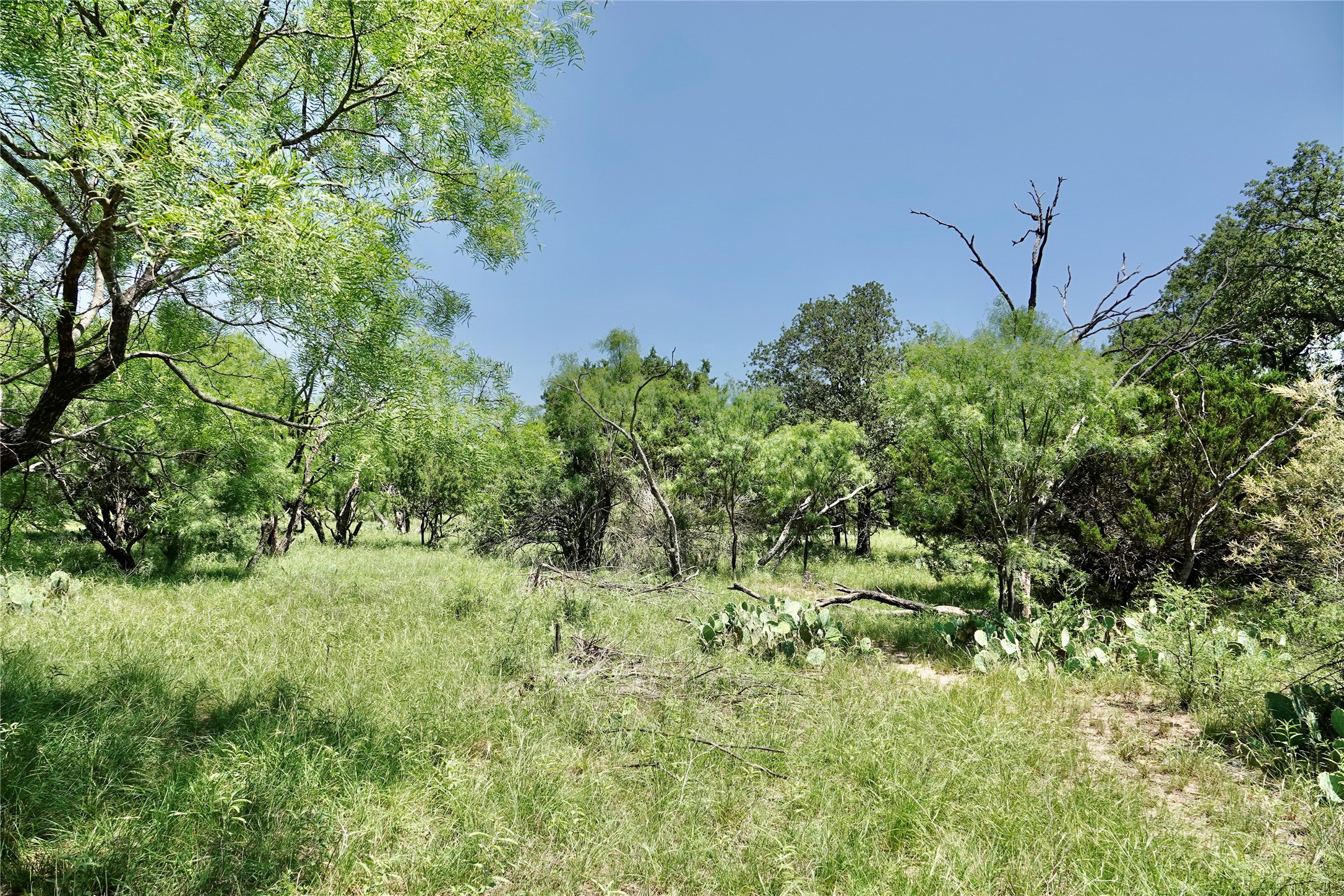 267 Cr 112 Goldthwaite TX 76844