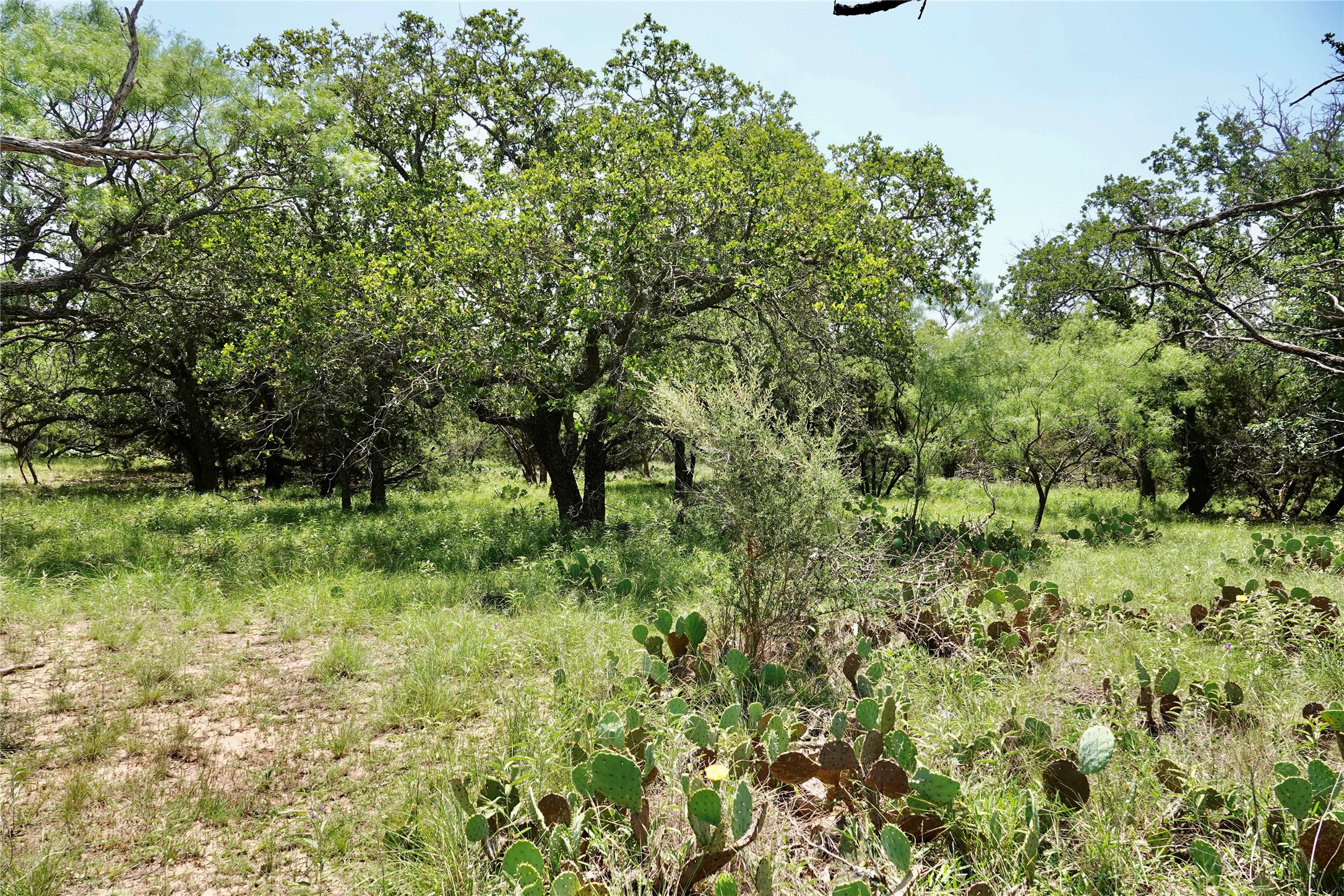 267 Cr 112 Goldthwaite TX 76844